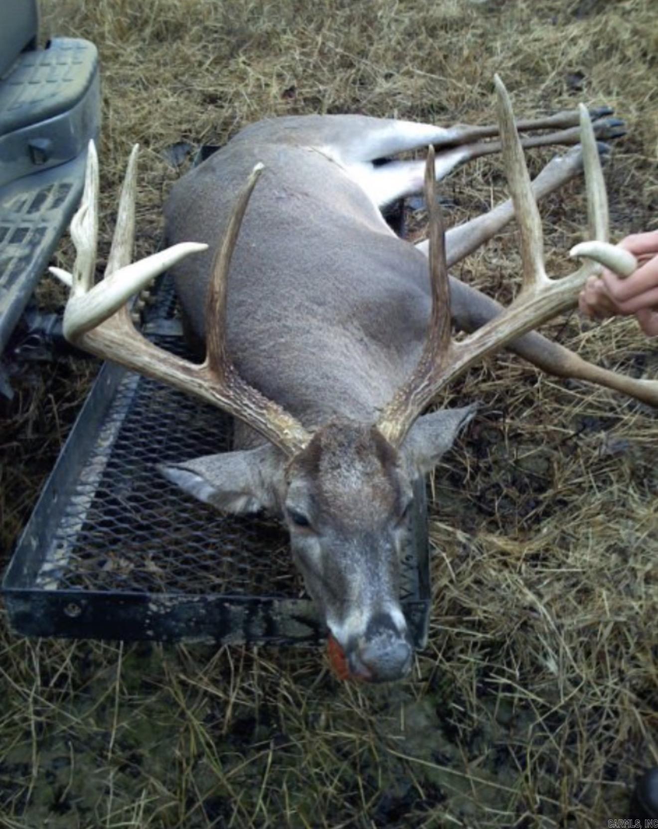 000 CR 884  Augusta, AR