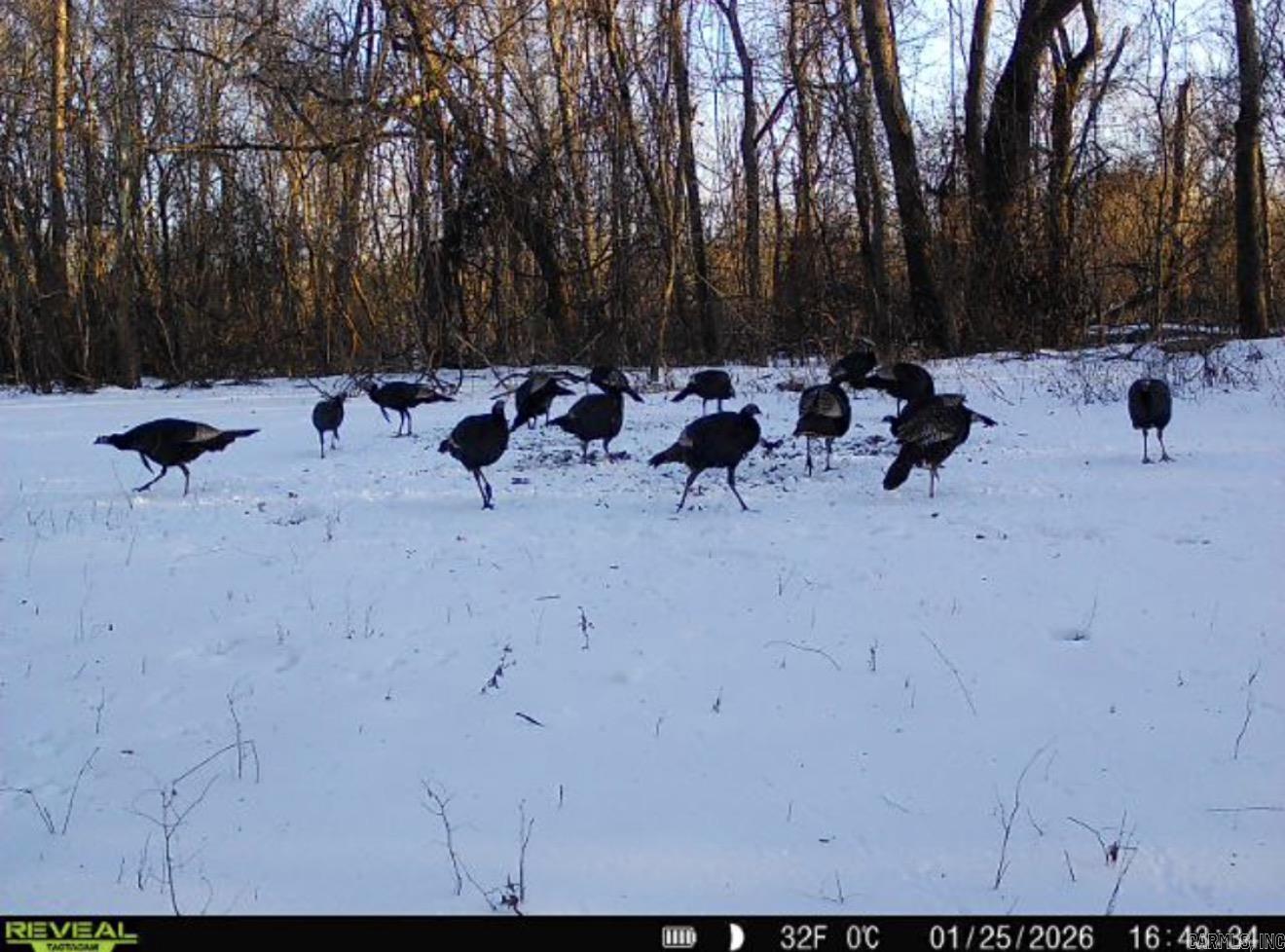 000 CR 884  Augusta, AR