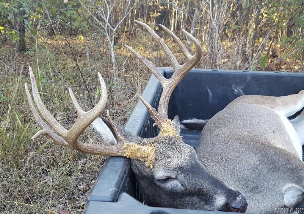 000 CR 884  Augusta, AR