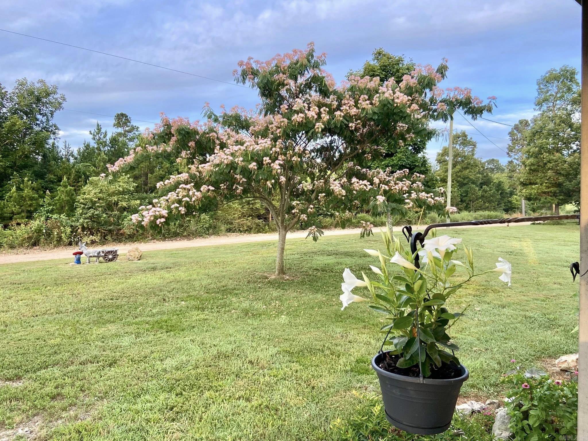 2096 QMC Road  Mountain View, AR