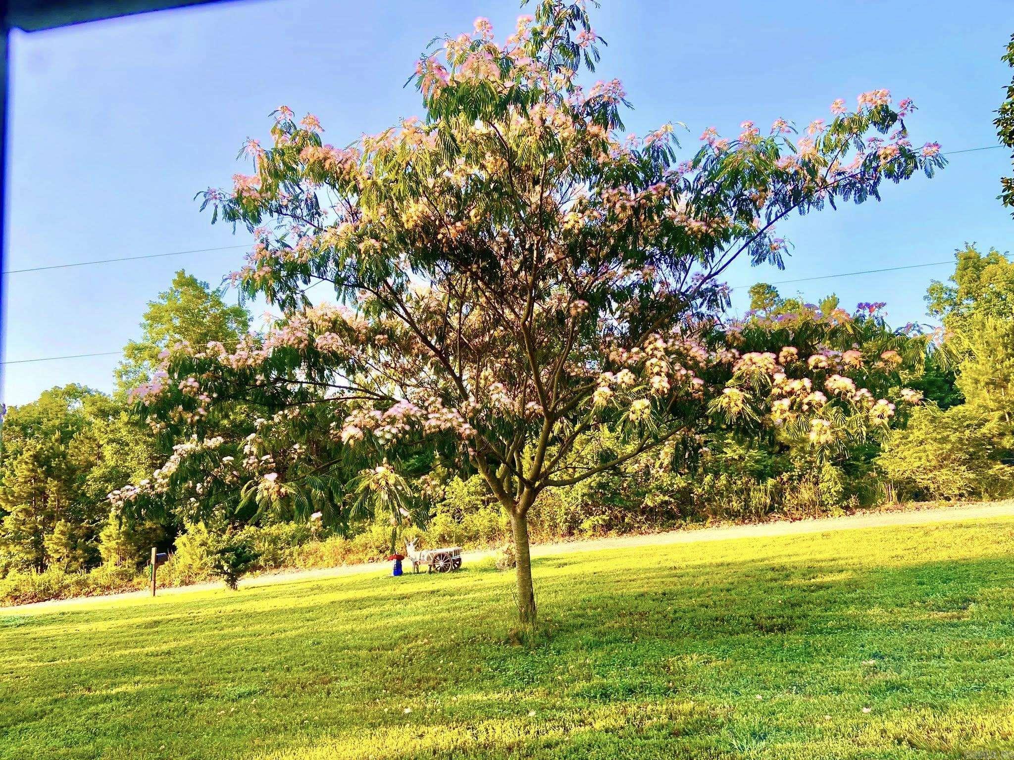 2096 QMC Road  Mountain View, AR