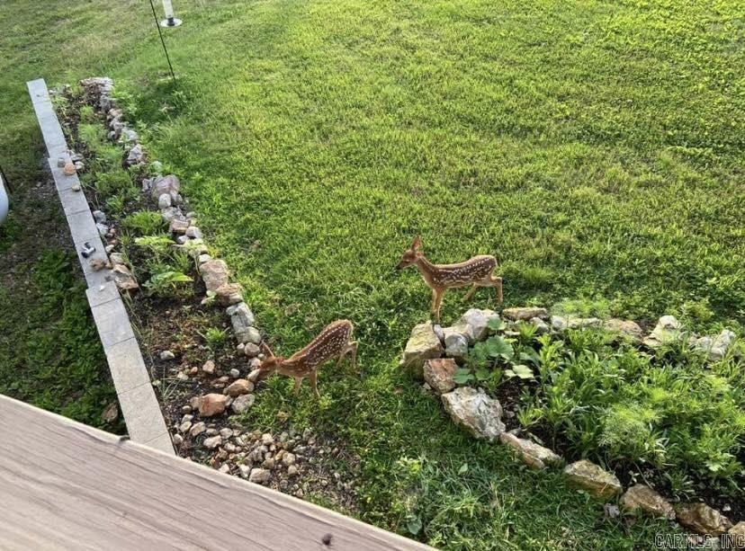 2096 QMC Road  Mountain View, AR