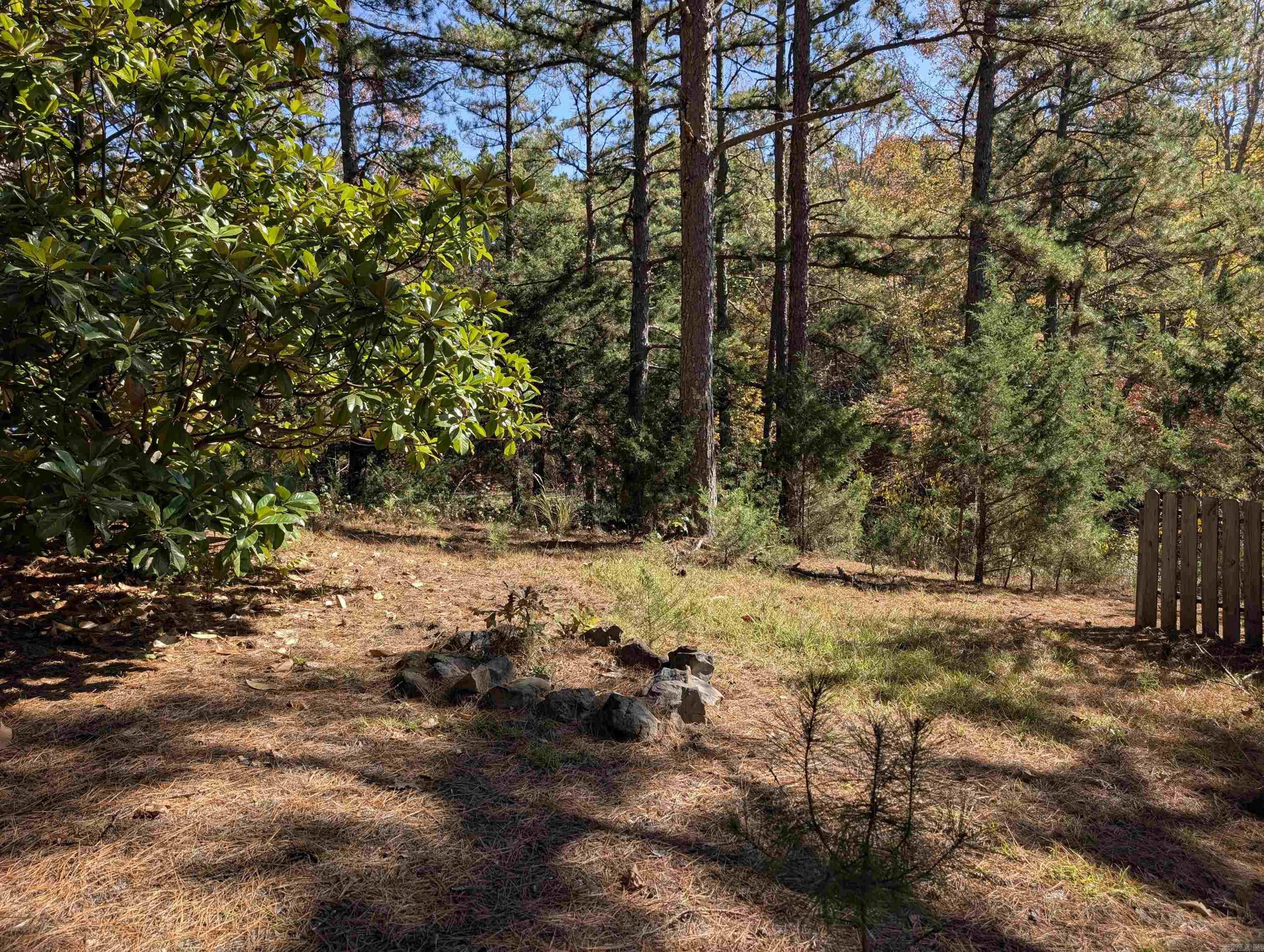 910 Polk Road 62  Mena, AR