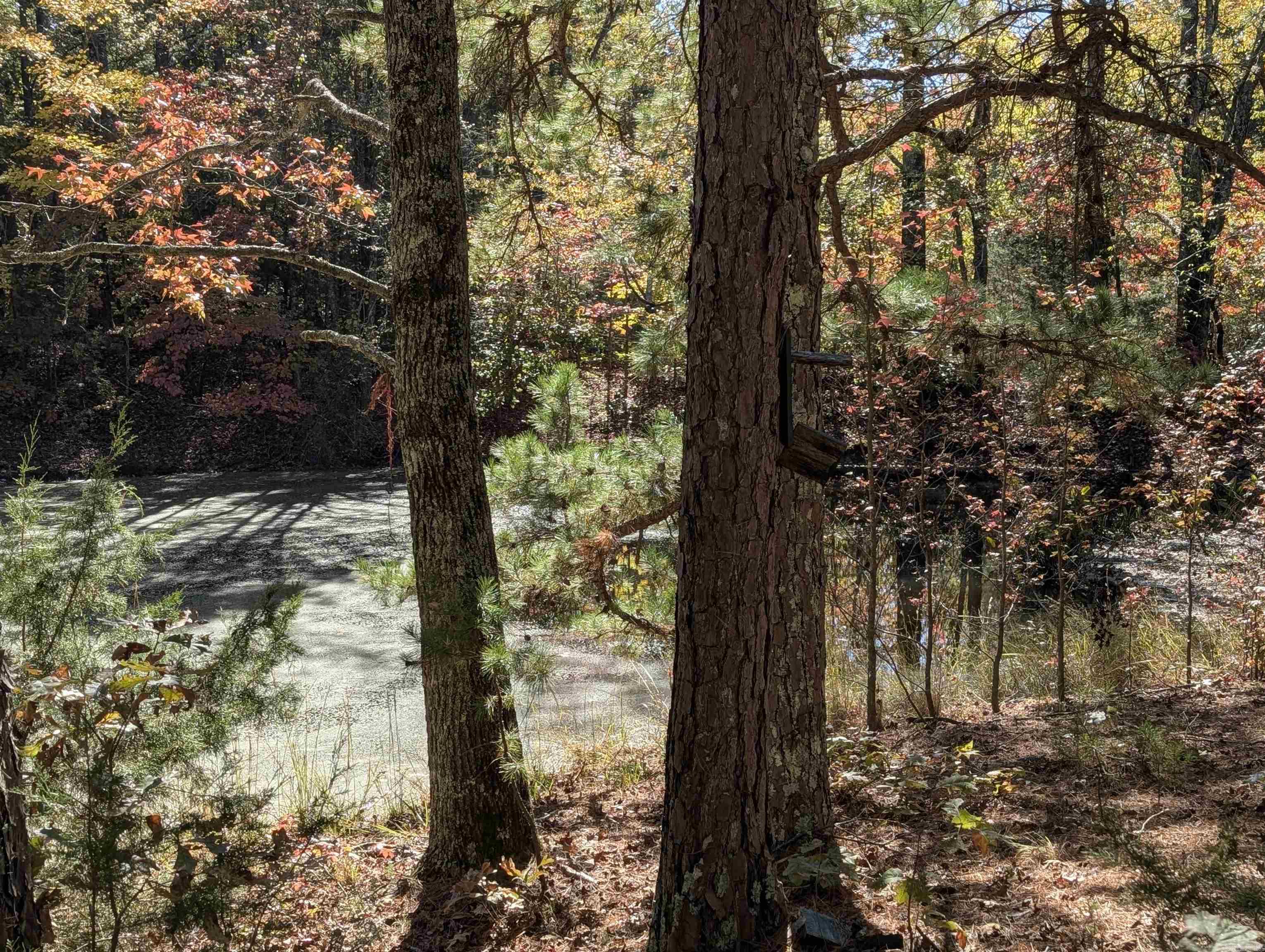 910 Polk Road 62  Mena, AR