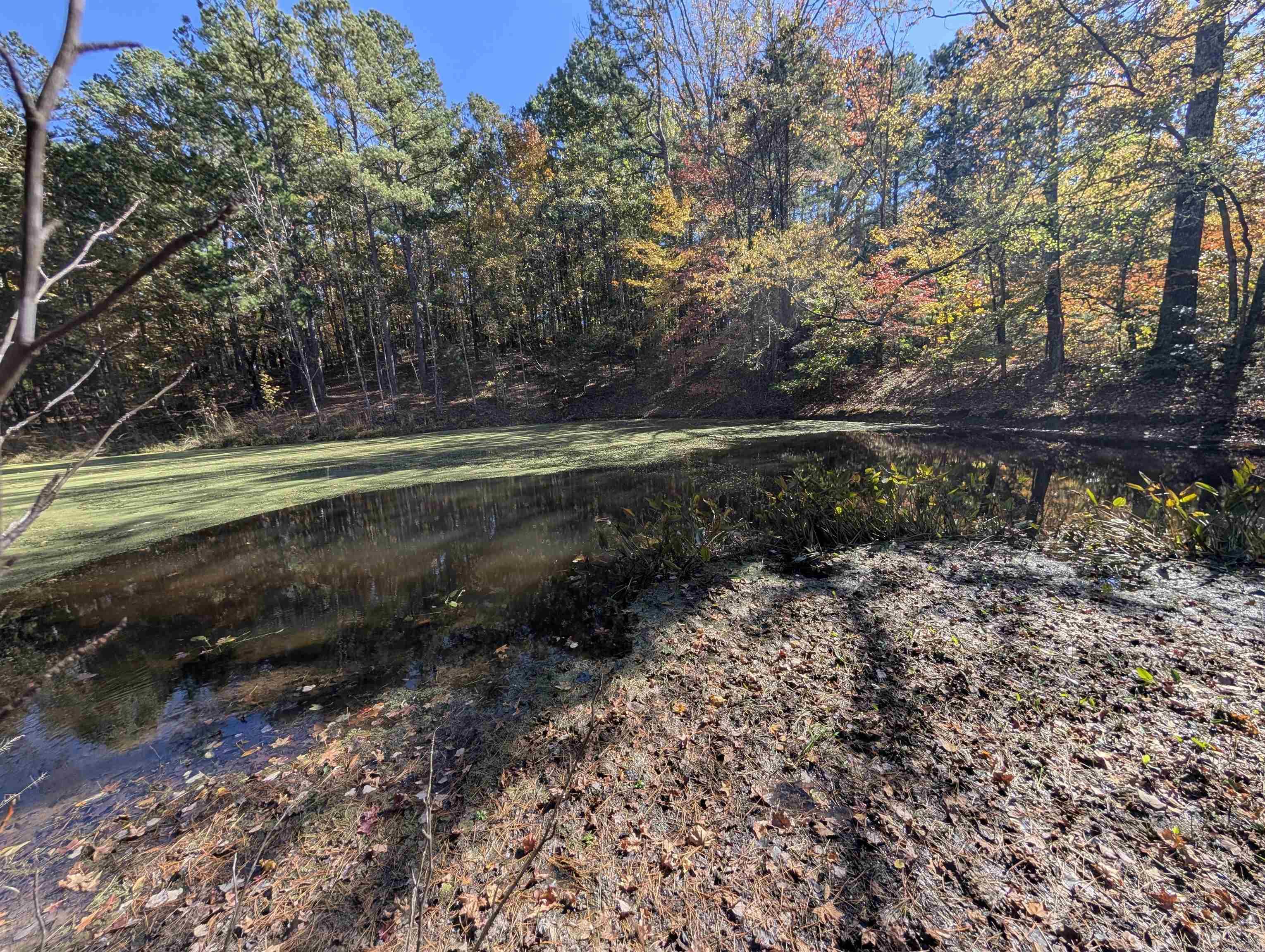 910 Polk Road 62  Mena, AR