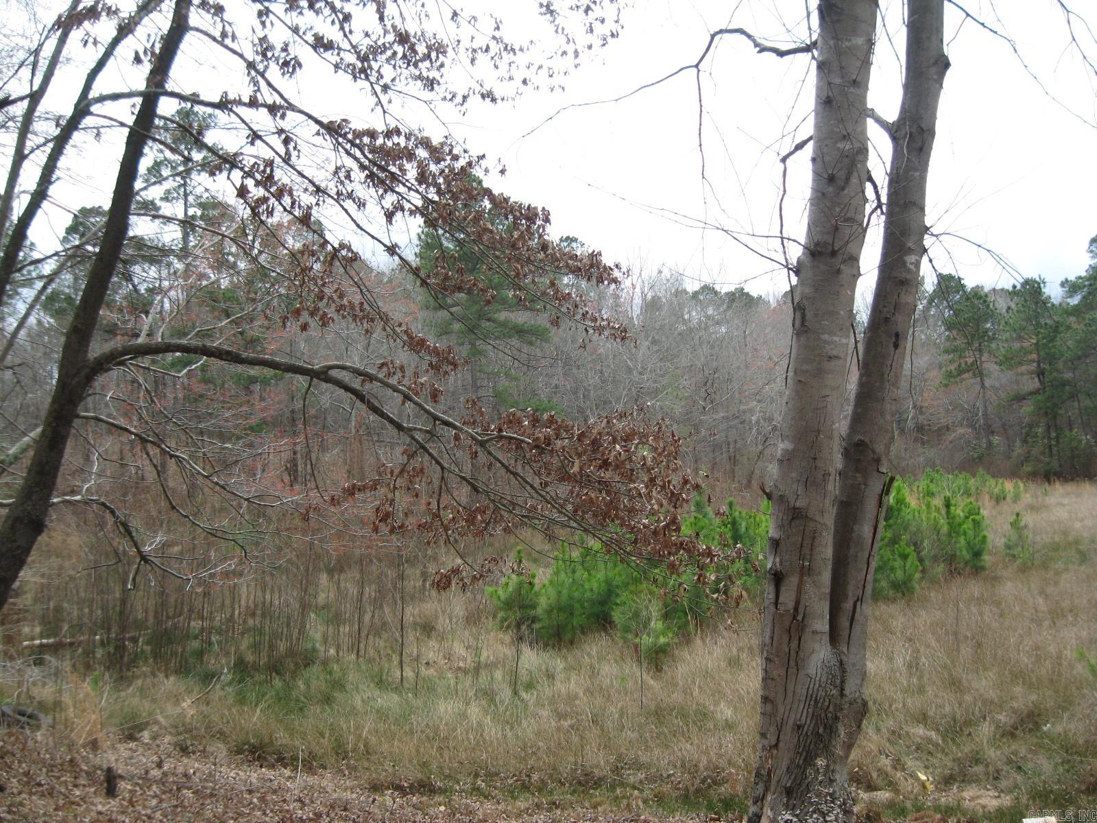 0 Willow Springs Rd  Little Rock, AR