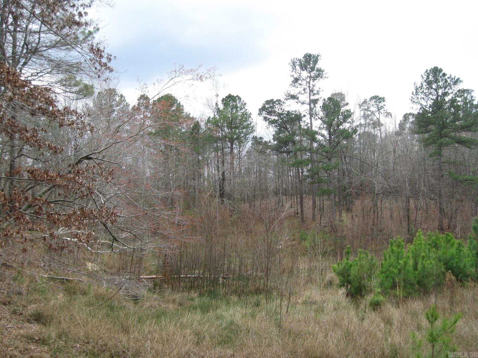 0 Willow Springs Rd  Little Rock, AR