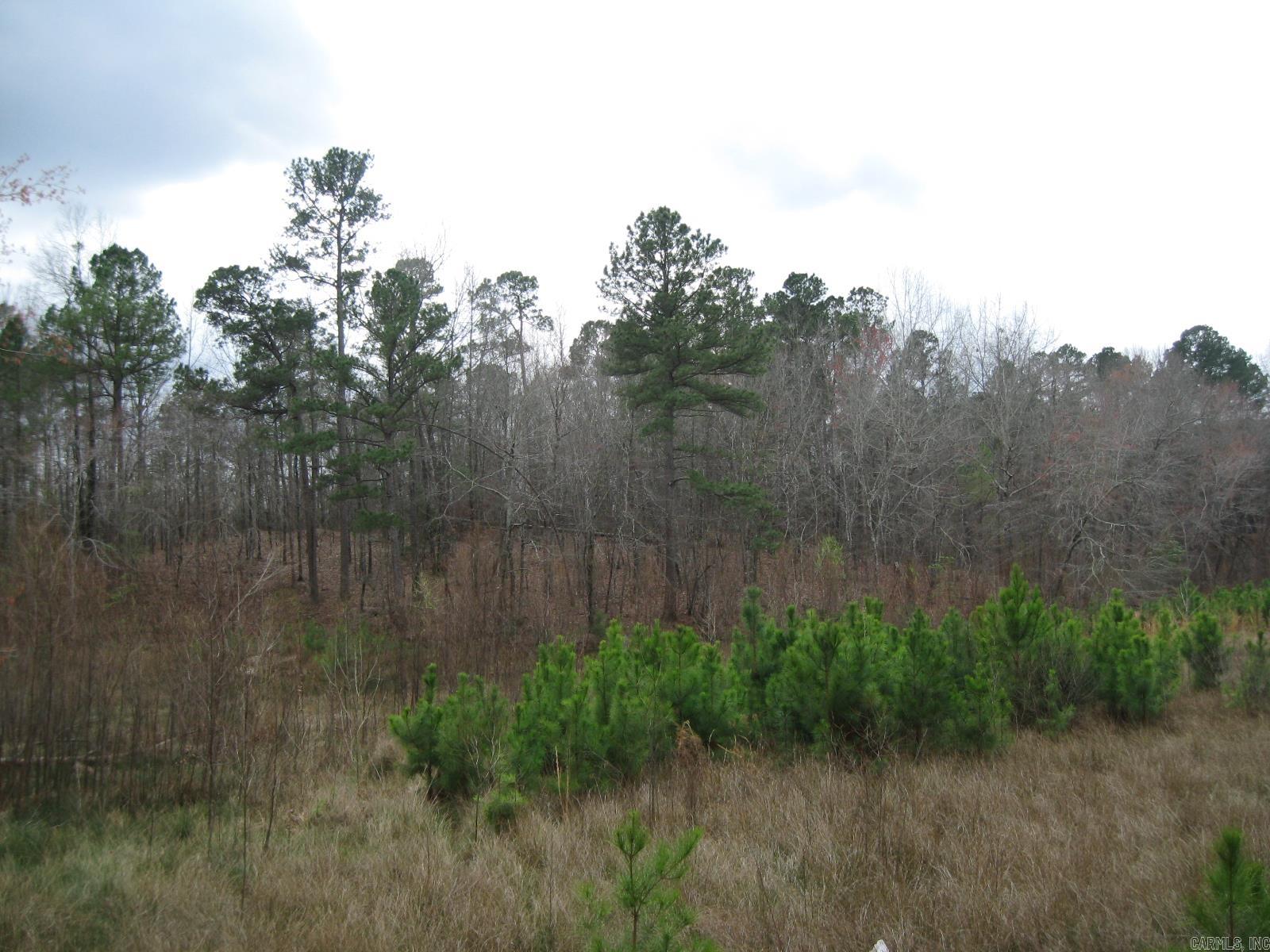 0 Willow Springs Rd  Little Rock, AR