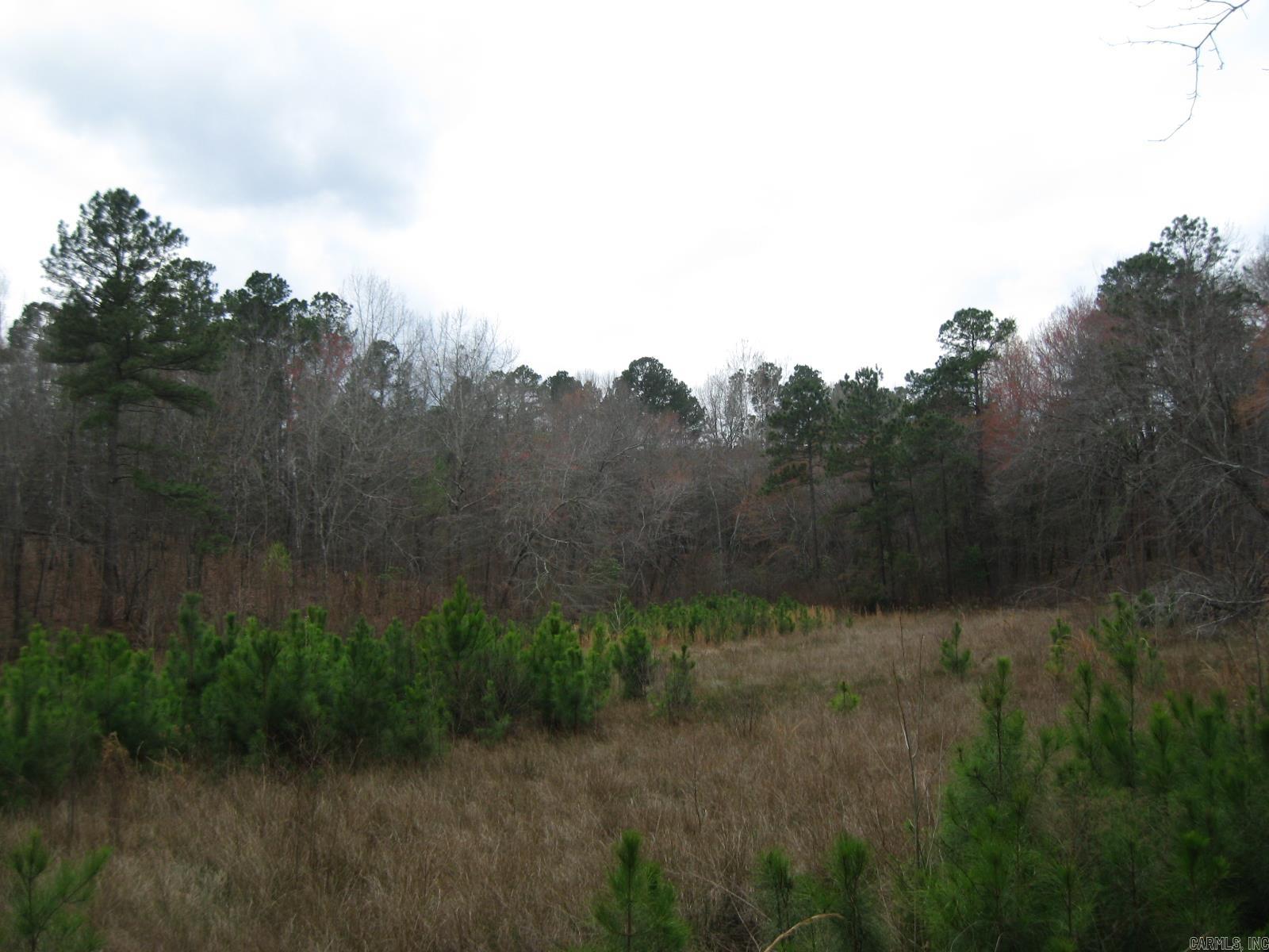 0 Willow Springs Rd  Little Rock, AR