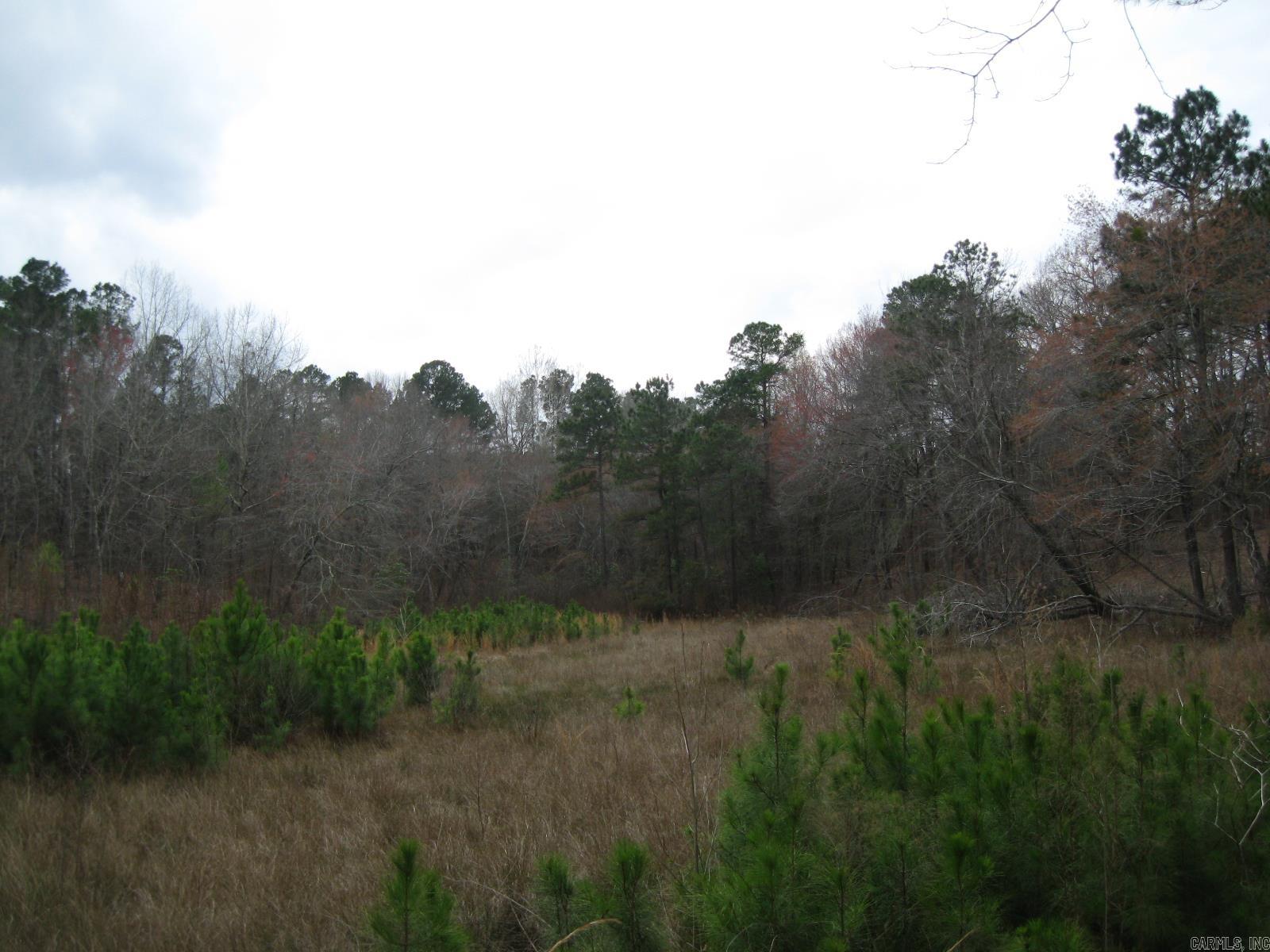 0 Willow Springs Rd  Little Rock, AR