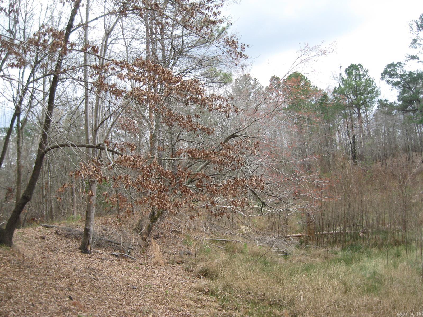 0 Willow Springs Rd  Little Rock, AR