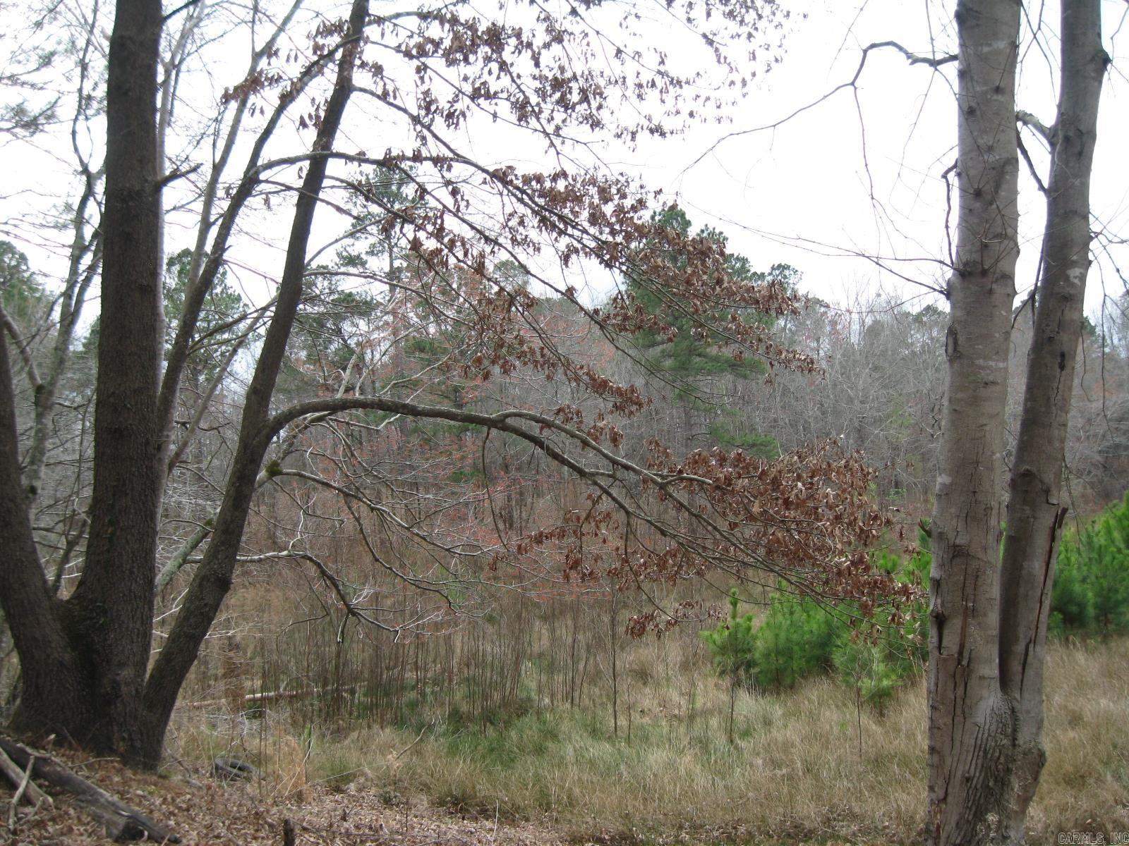 0 Willow Springs Rd  Little Rock, AR