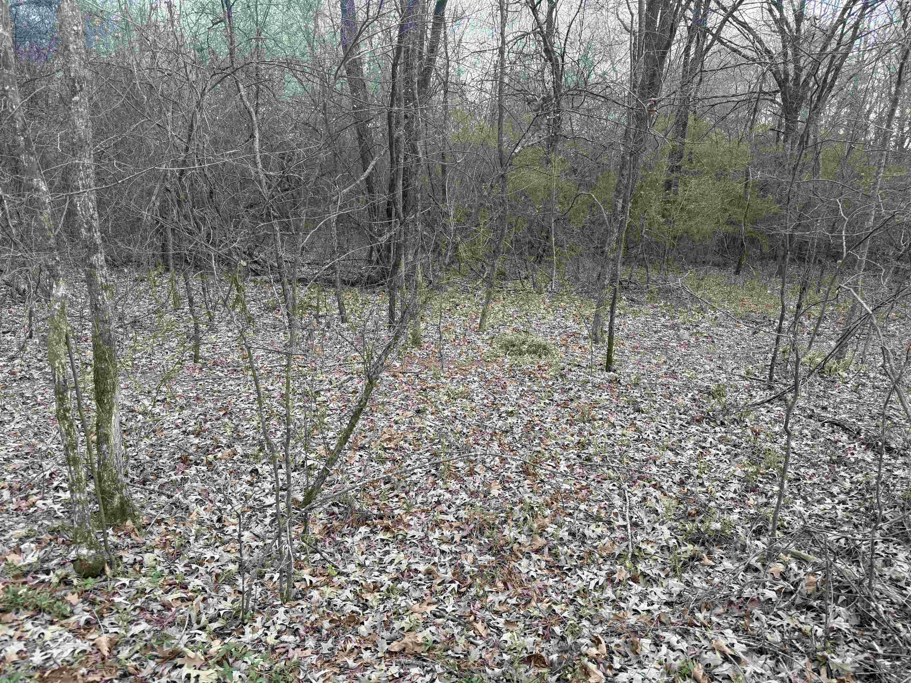  S Highway 365  Little Rock, AR