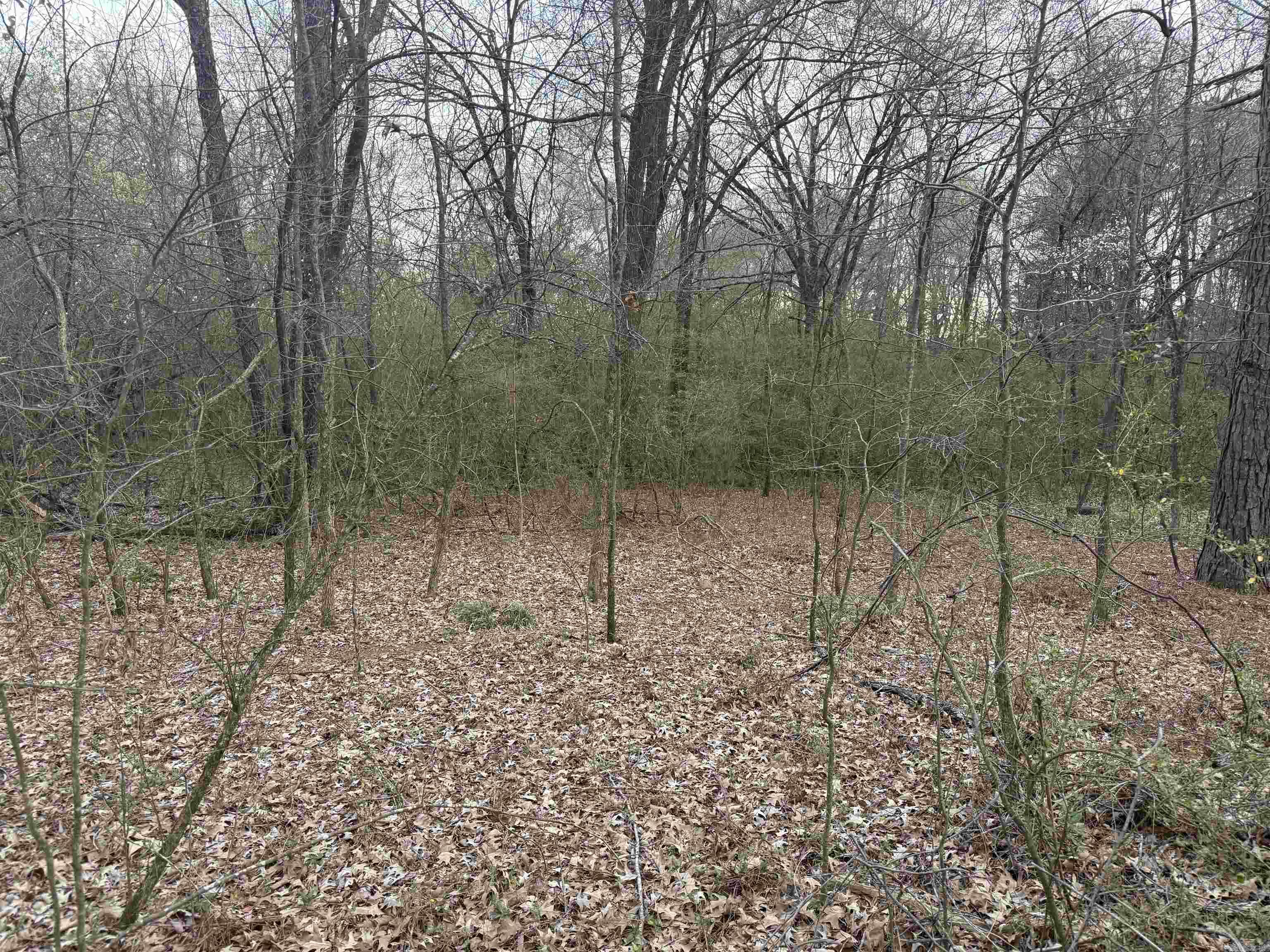  S Highway 365  Little Rock, AR