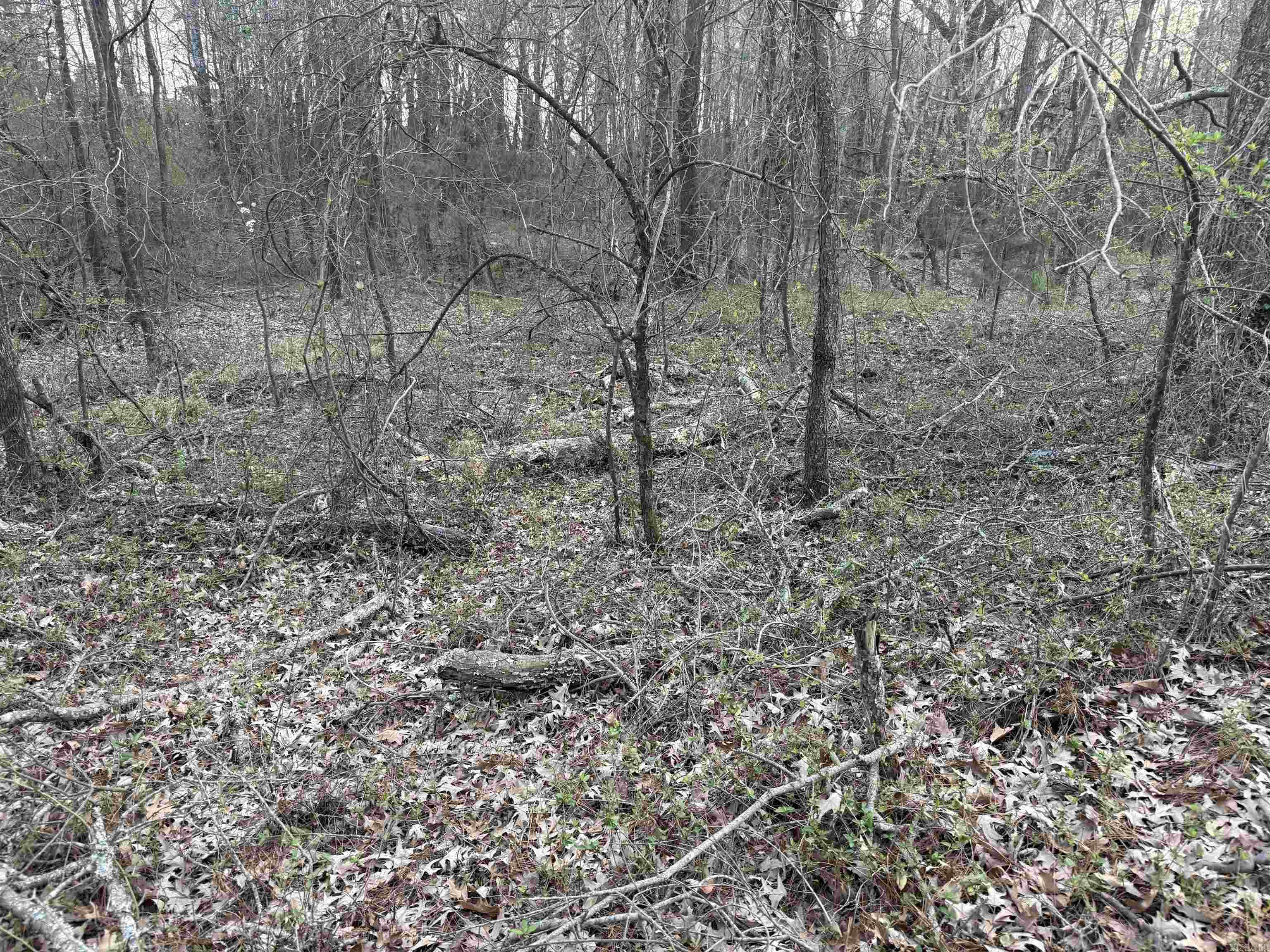  S Highway 365  Little Rock, AR