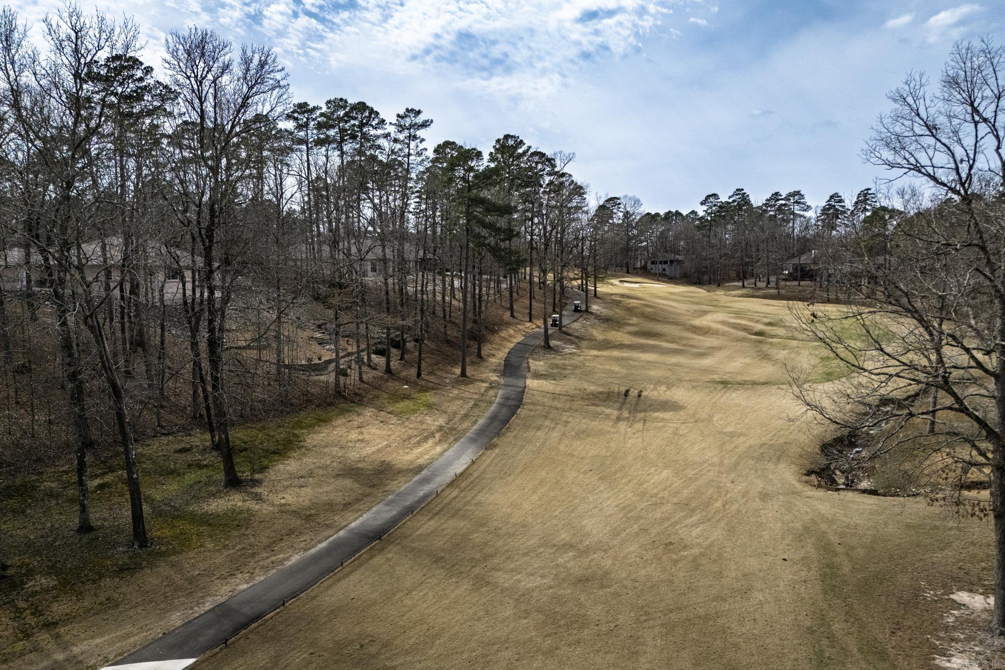 33 illescas  Hot Springs Village, AR