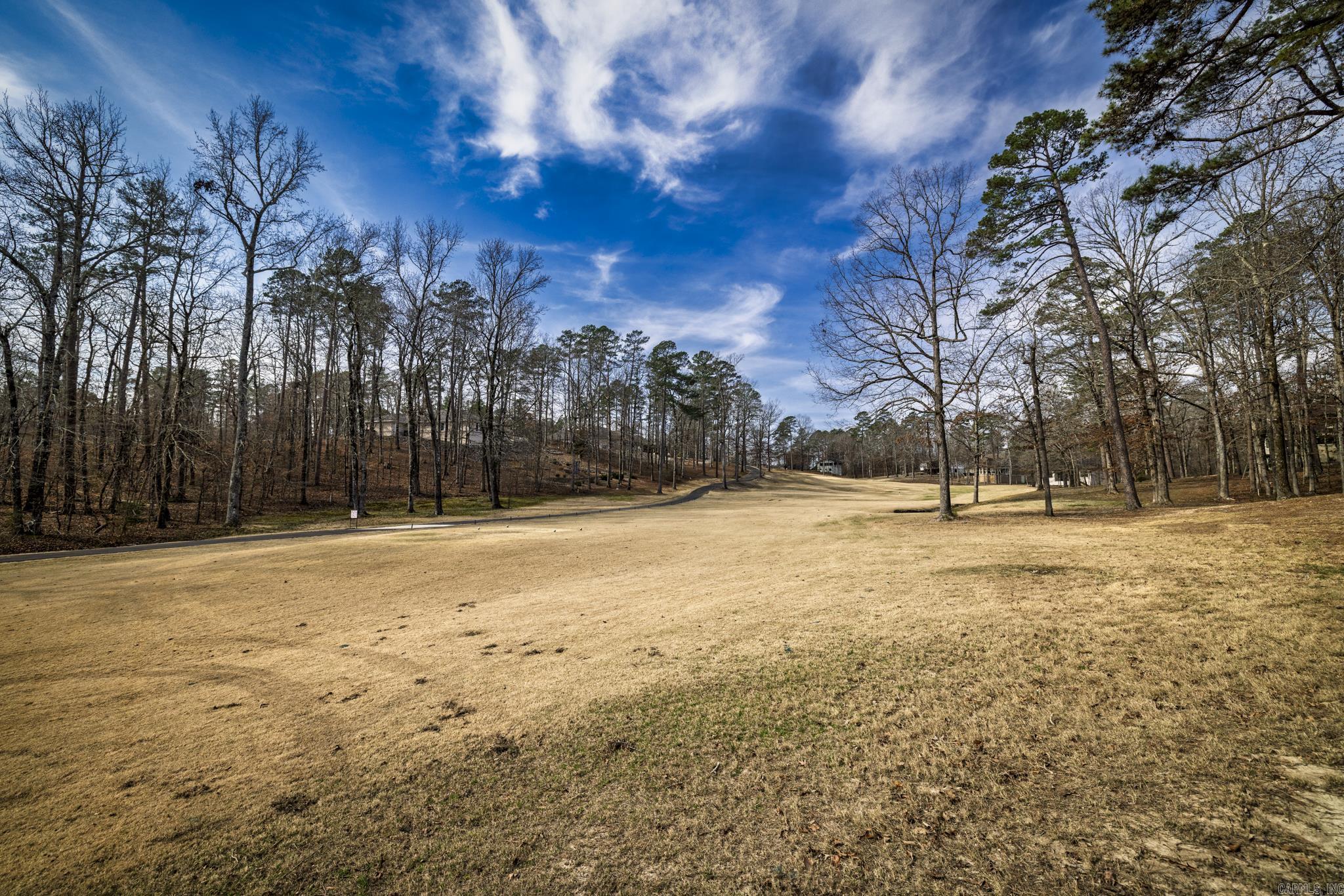 33 illescas  Hot Springs Village, AR