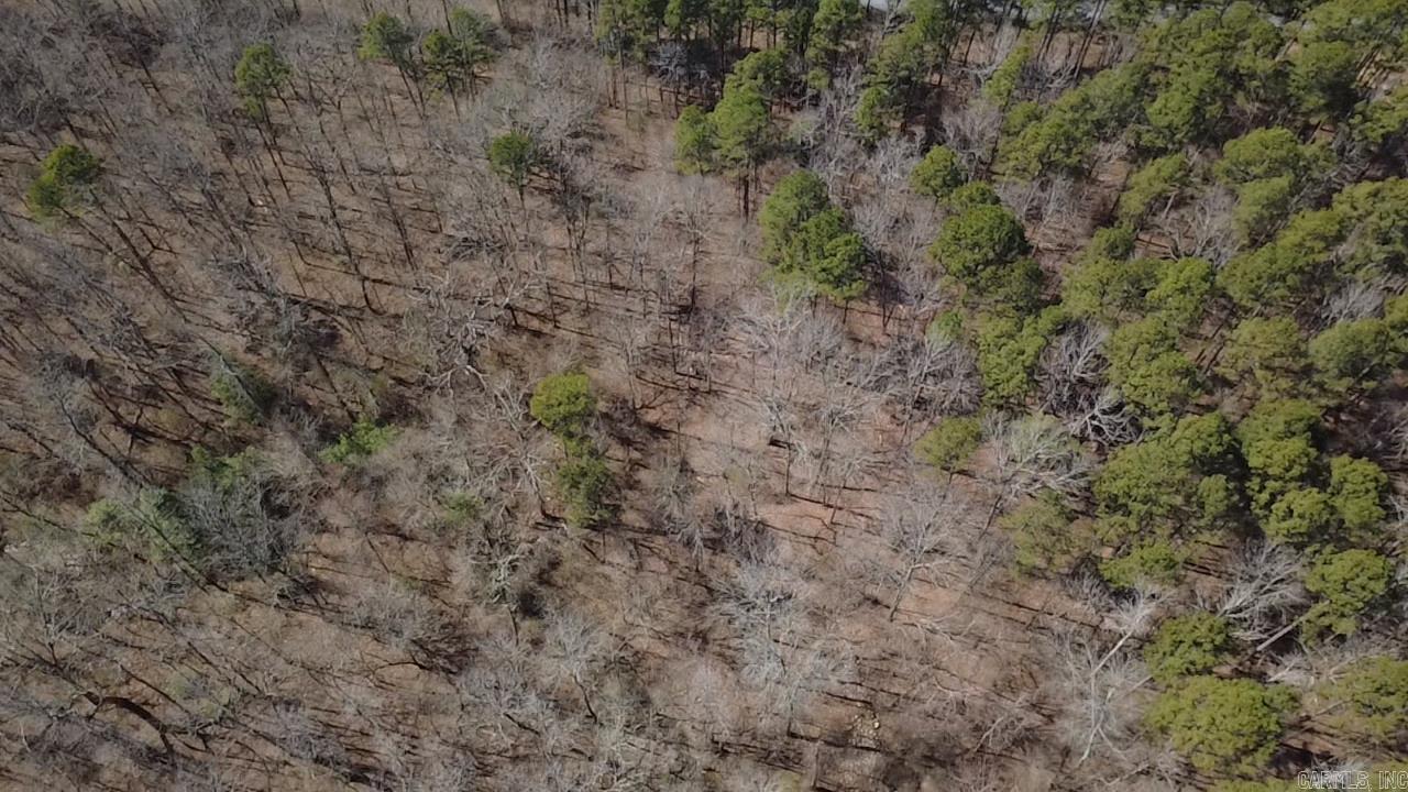 TBD Polk RD 125  Mena, AR