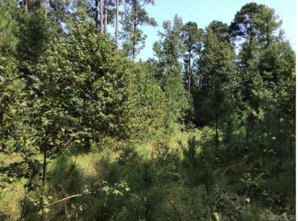 000 County Rd 79  Fordyce, AR