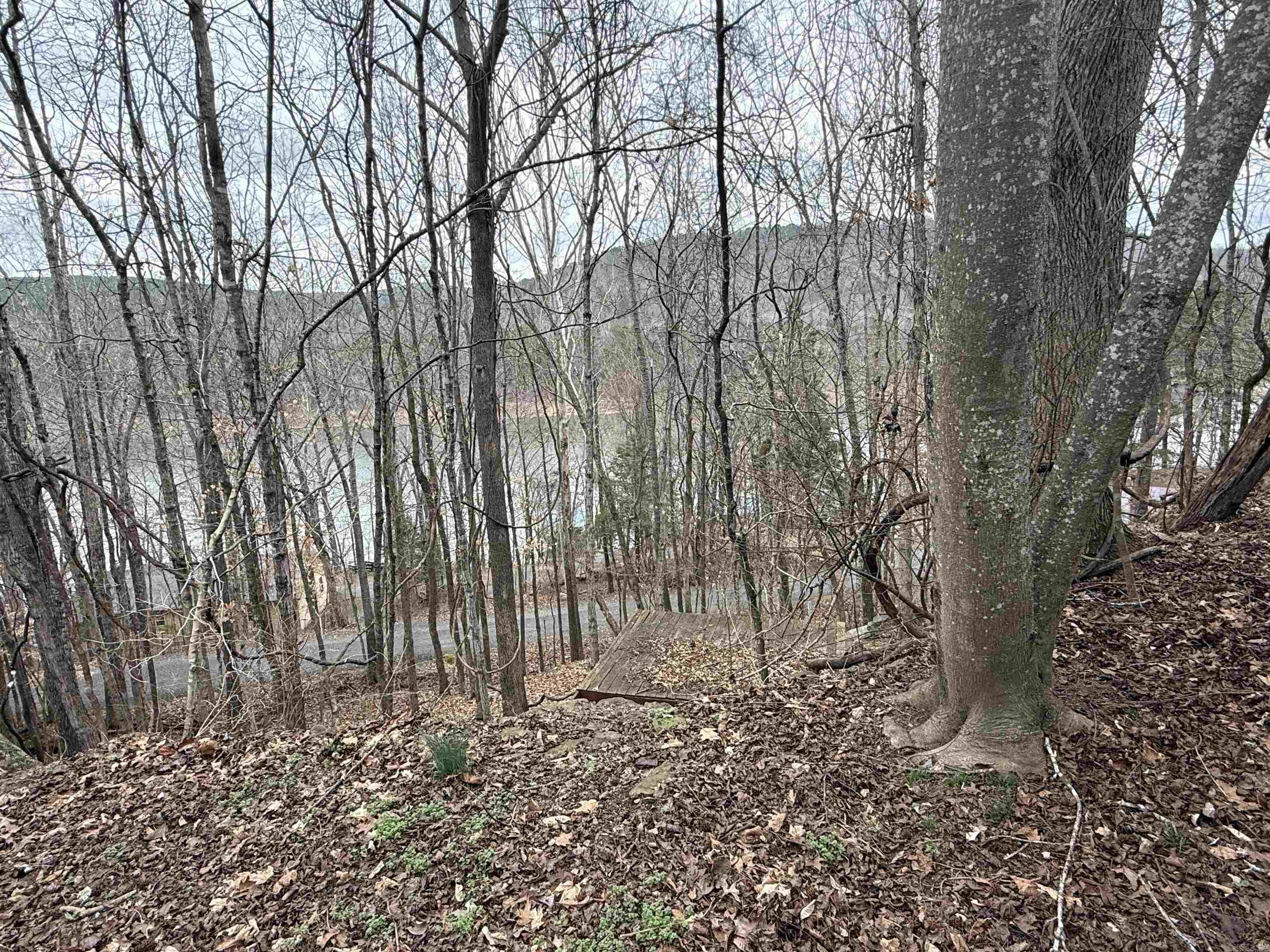 300 Canyon  Greers Ferry, AR