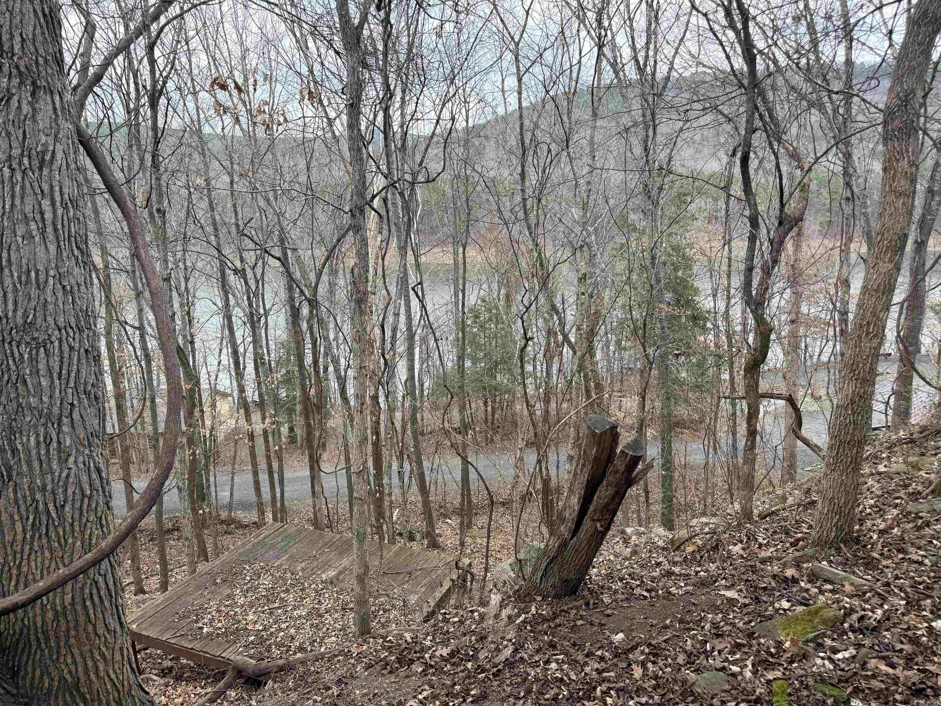 300 Canyon  Greers Ferry, AR