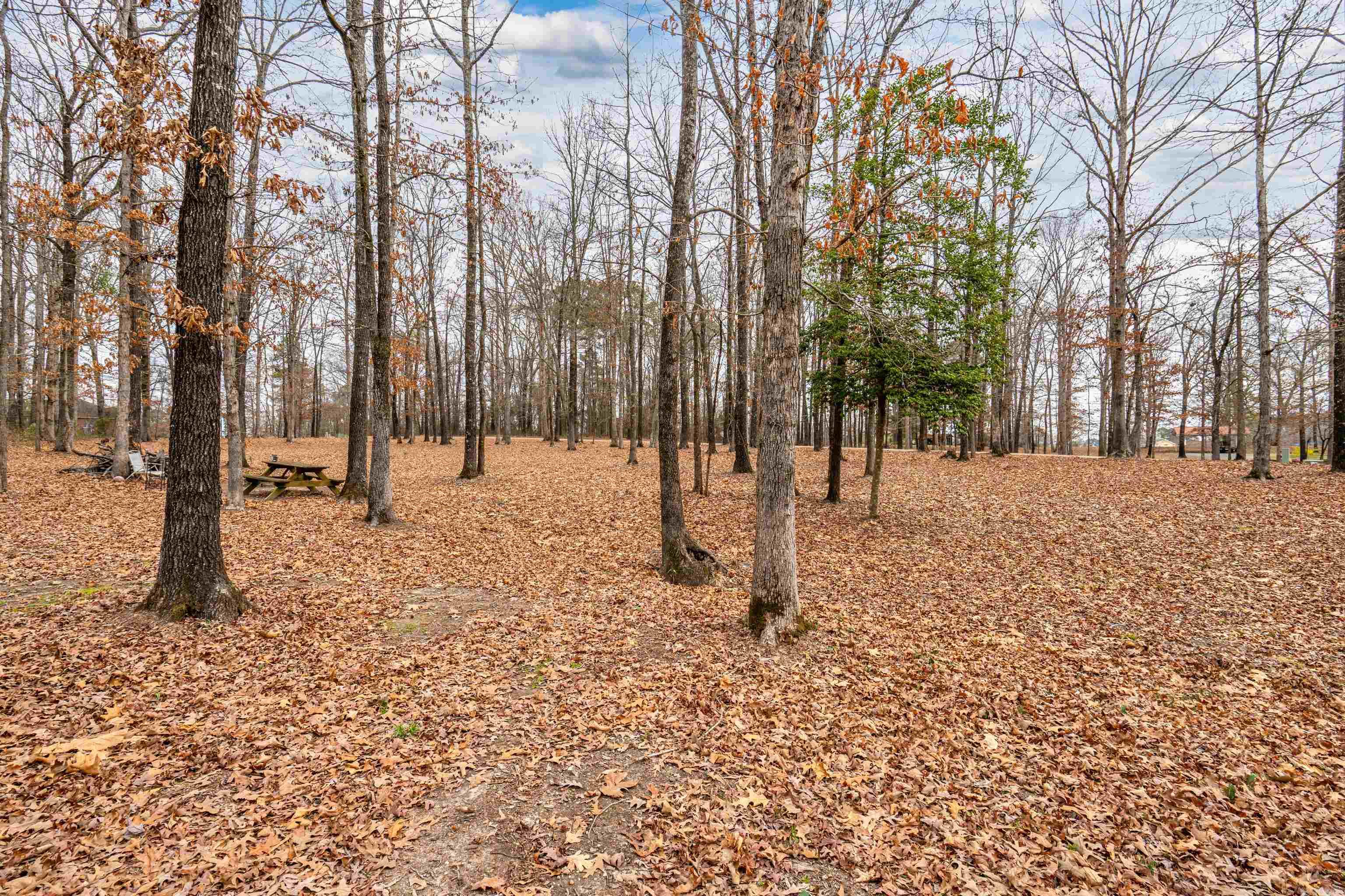 220 Autumn Oaks  Bismarck, AR