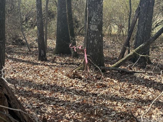 2425 Raborn Rd  Carlisle, AR