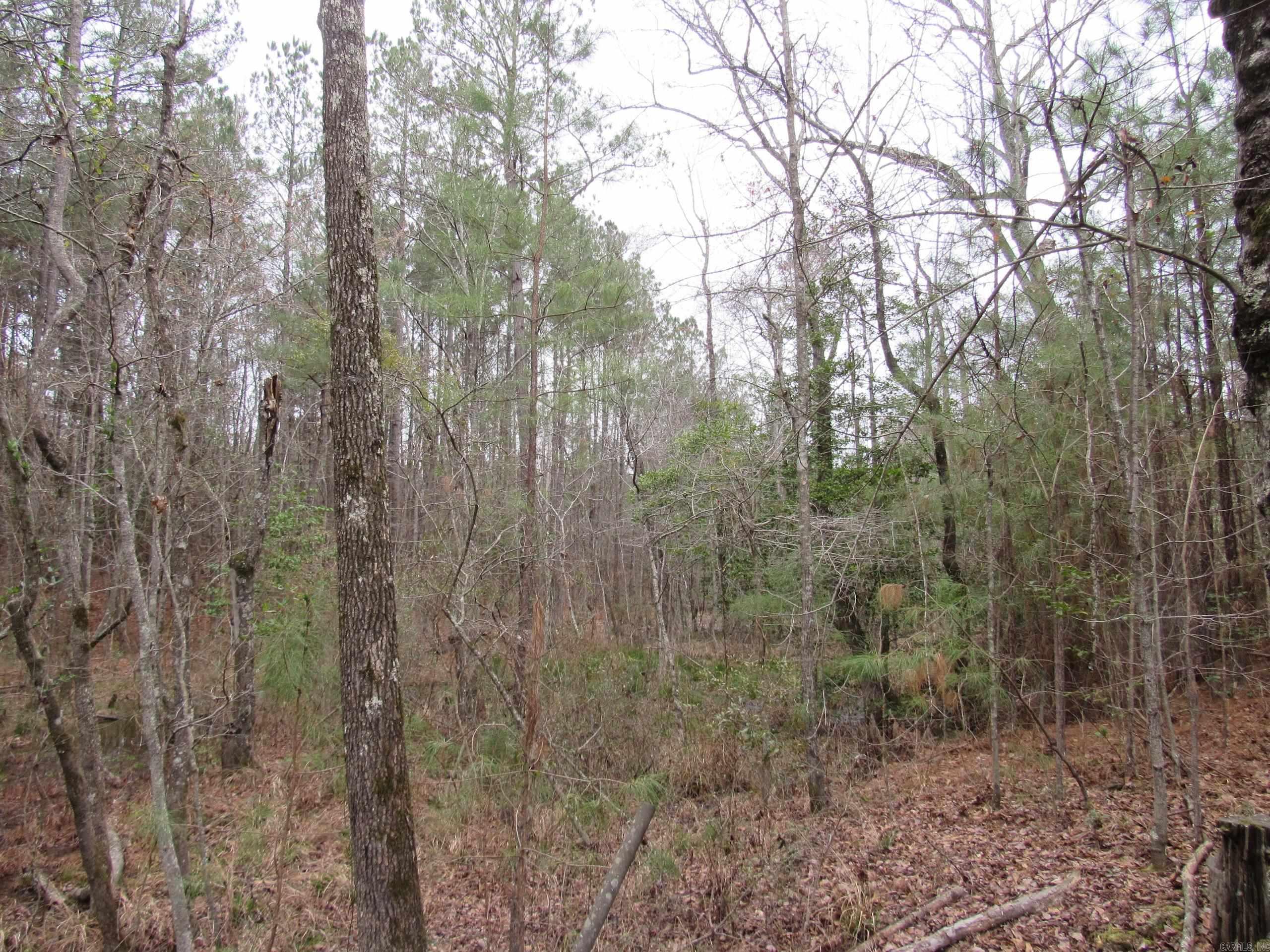 5361 Columbia Rd 11  Magnolia, AR