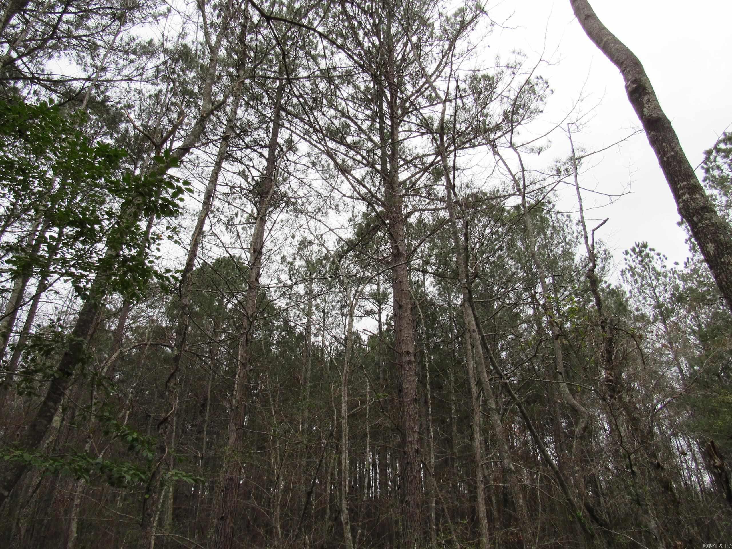 5361 Columbia Rd 11  Magnolia, AR