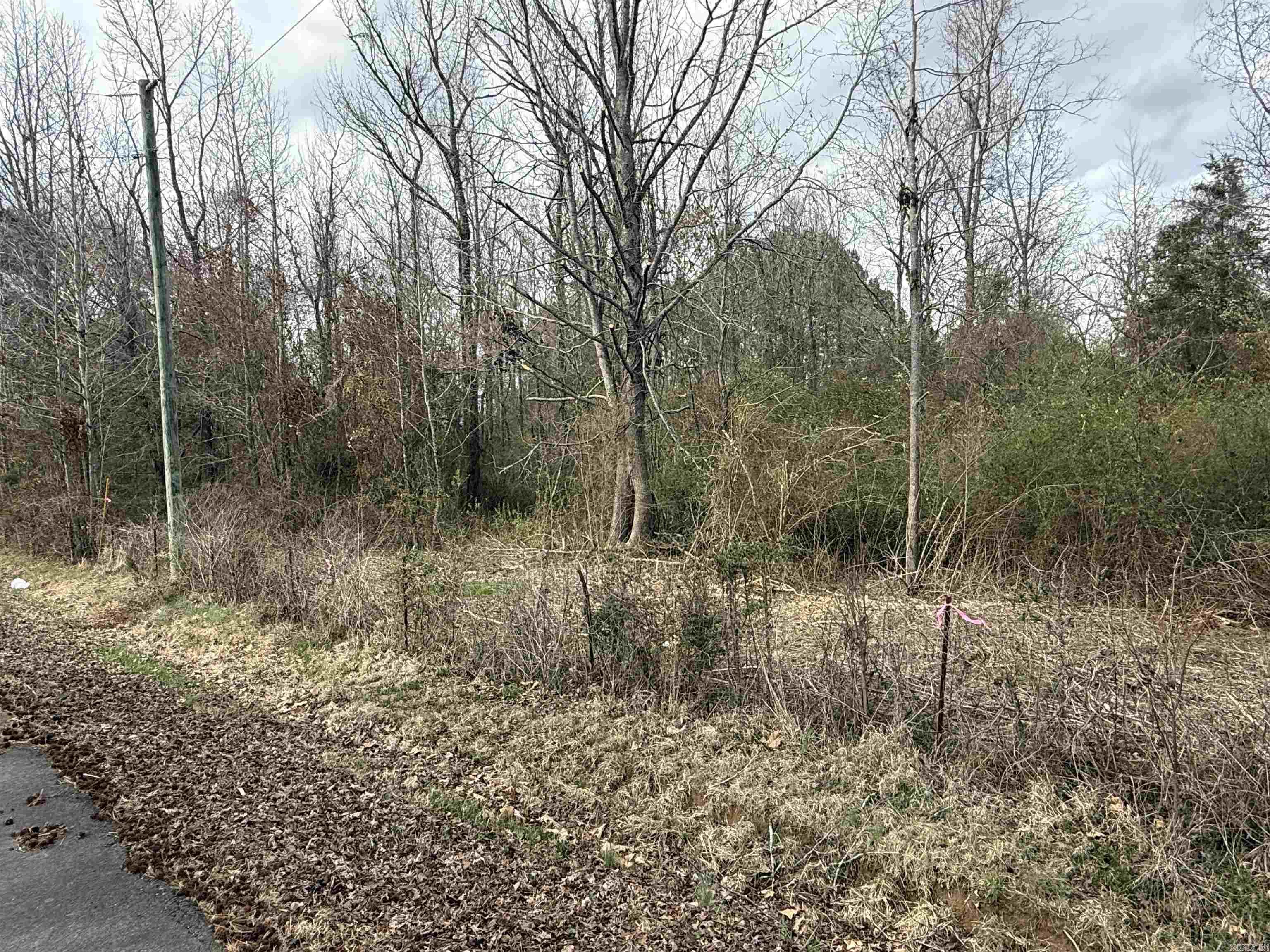 000 W Brownfield  Letona, AR