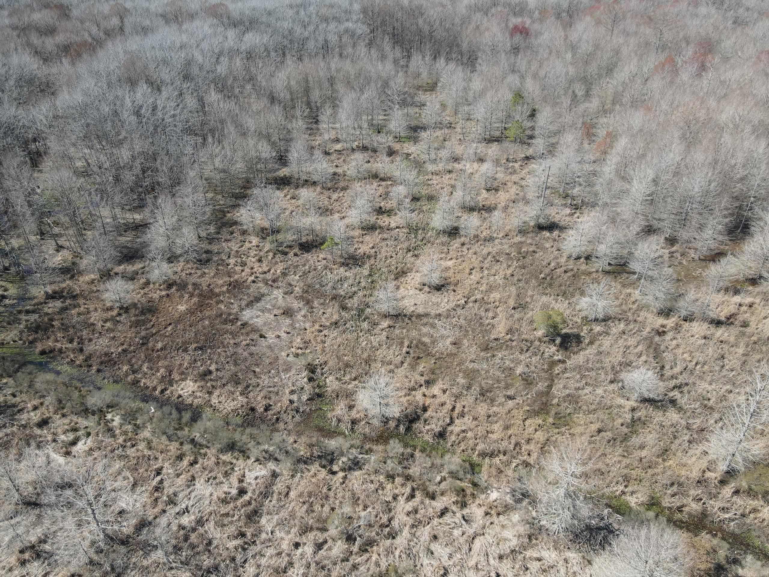 000 Lawson Rd  Urbana, AR