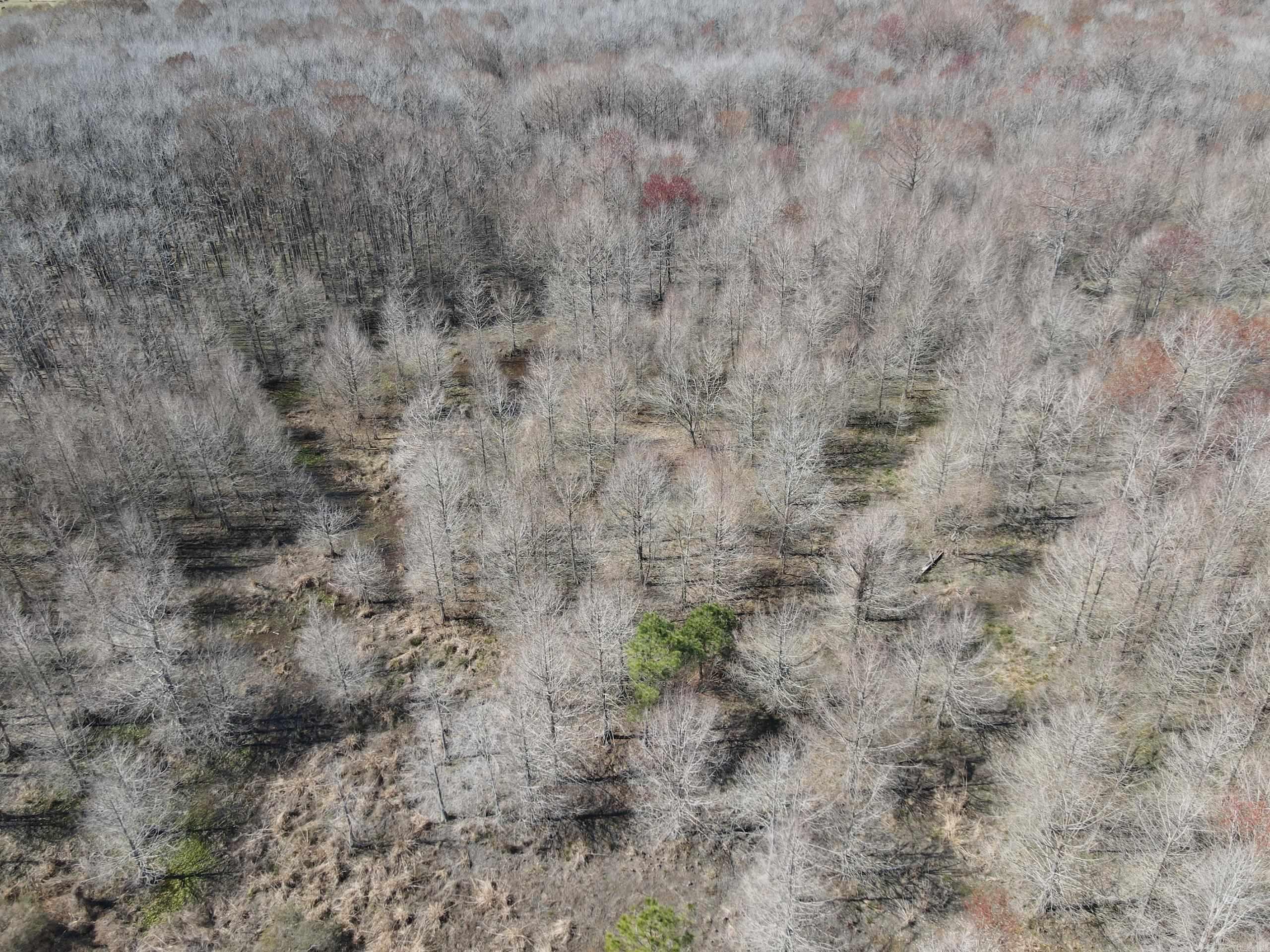 000 Lawson Rd  Urbana, AR