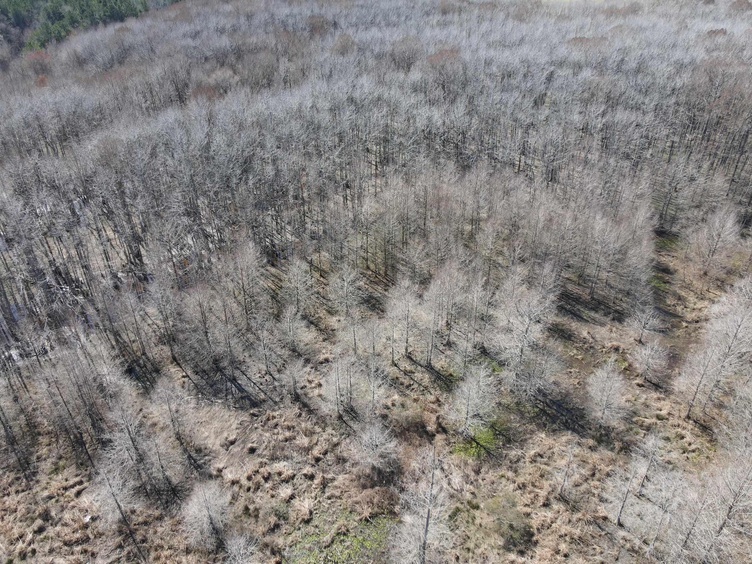 000 Lawson Rd  Urbana, AR