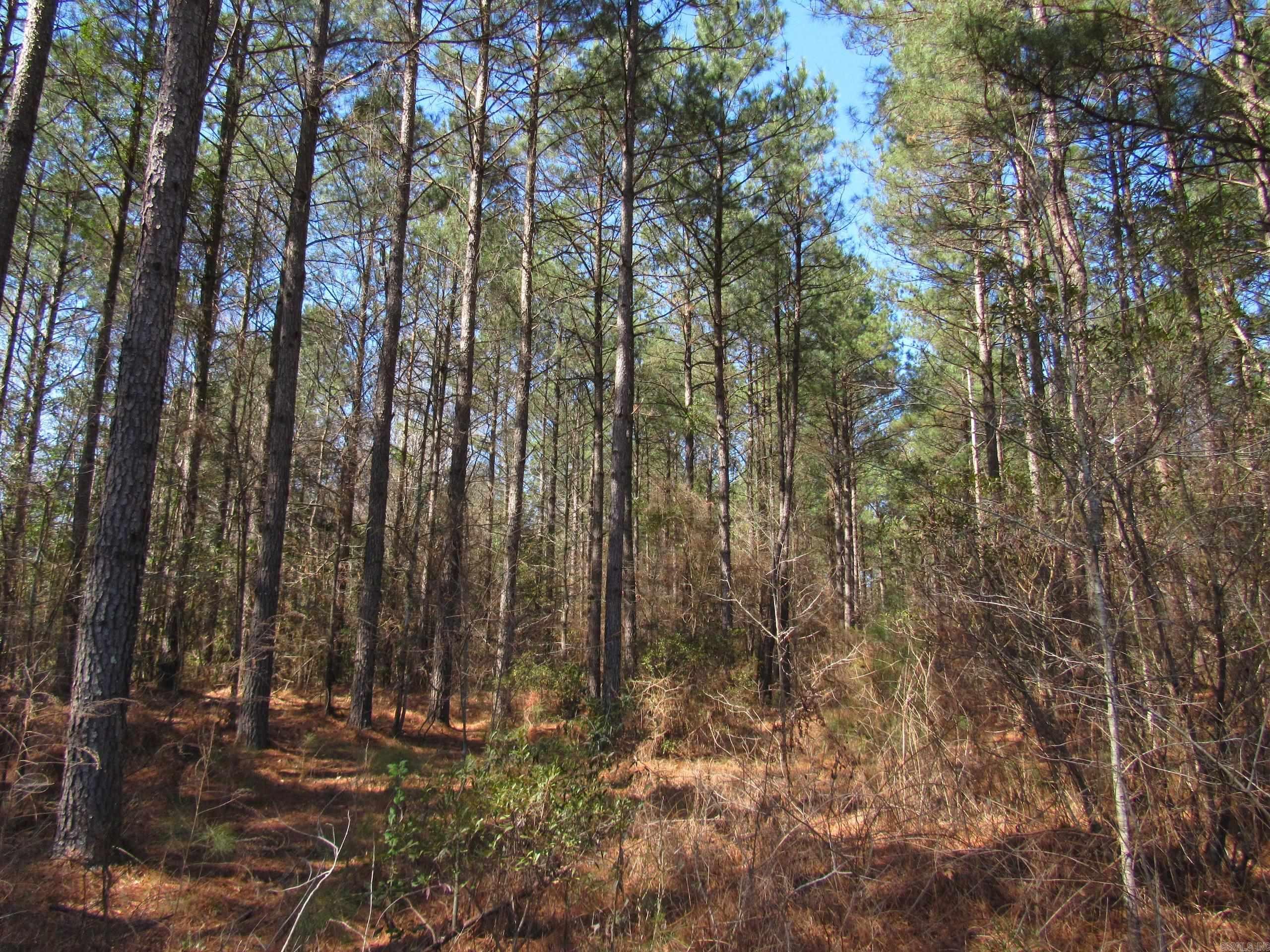 000 Lawson Rd  Urbana, AR