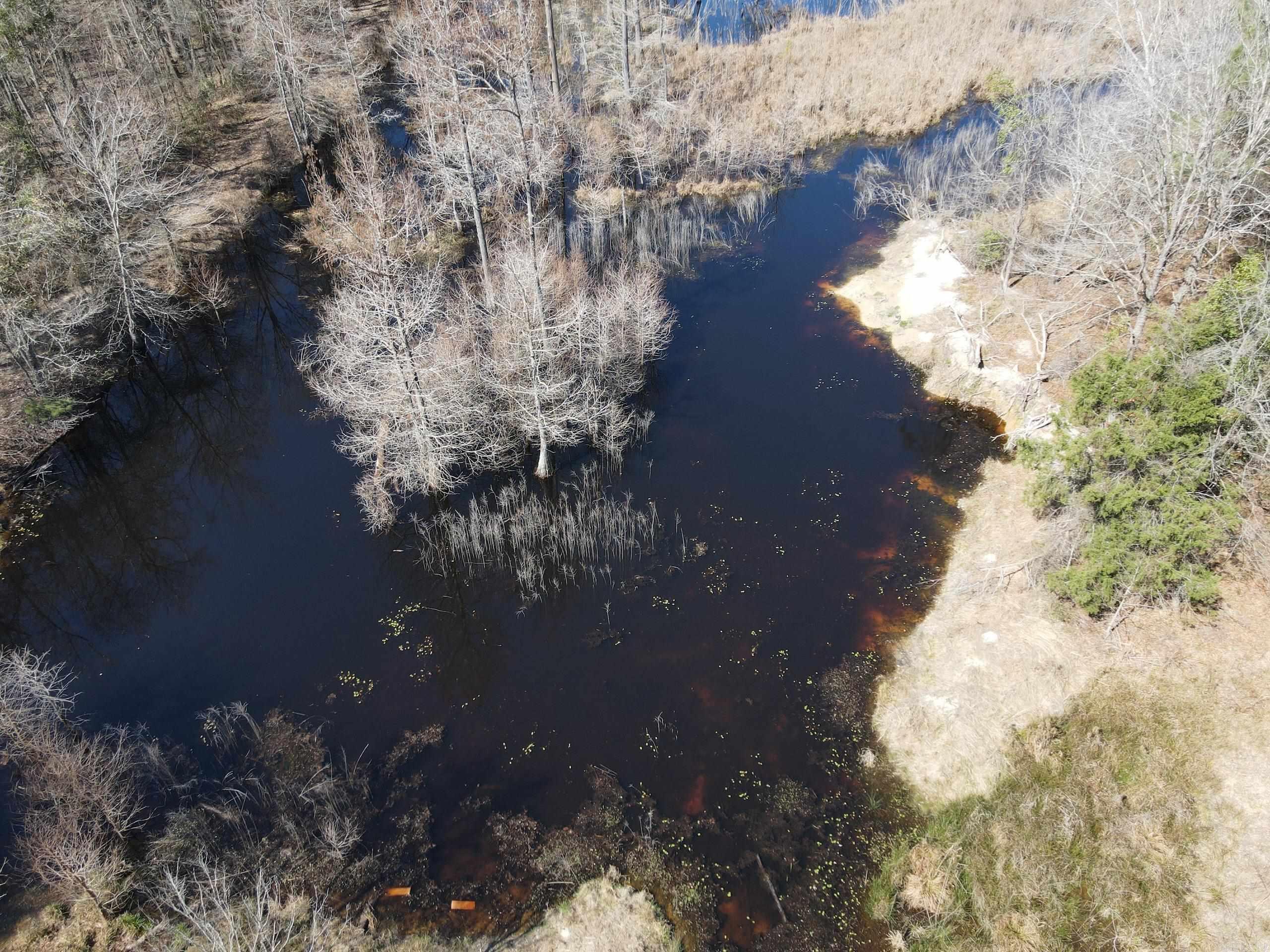 000 Lawson Rd  Urbana, AR