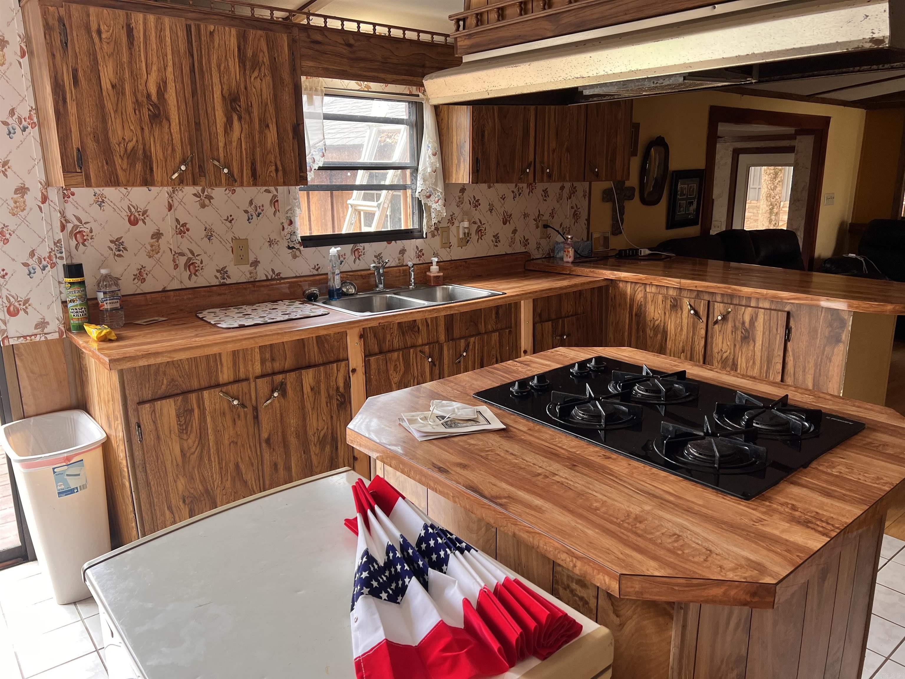 145 Trout Valley Rd  Wilburn, AR