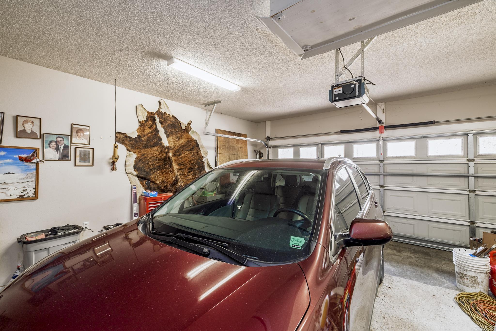 #7 JAGUAR  Hot Springs Village, AR