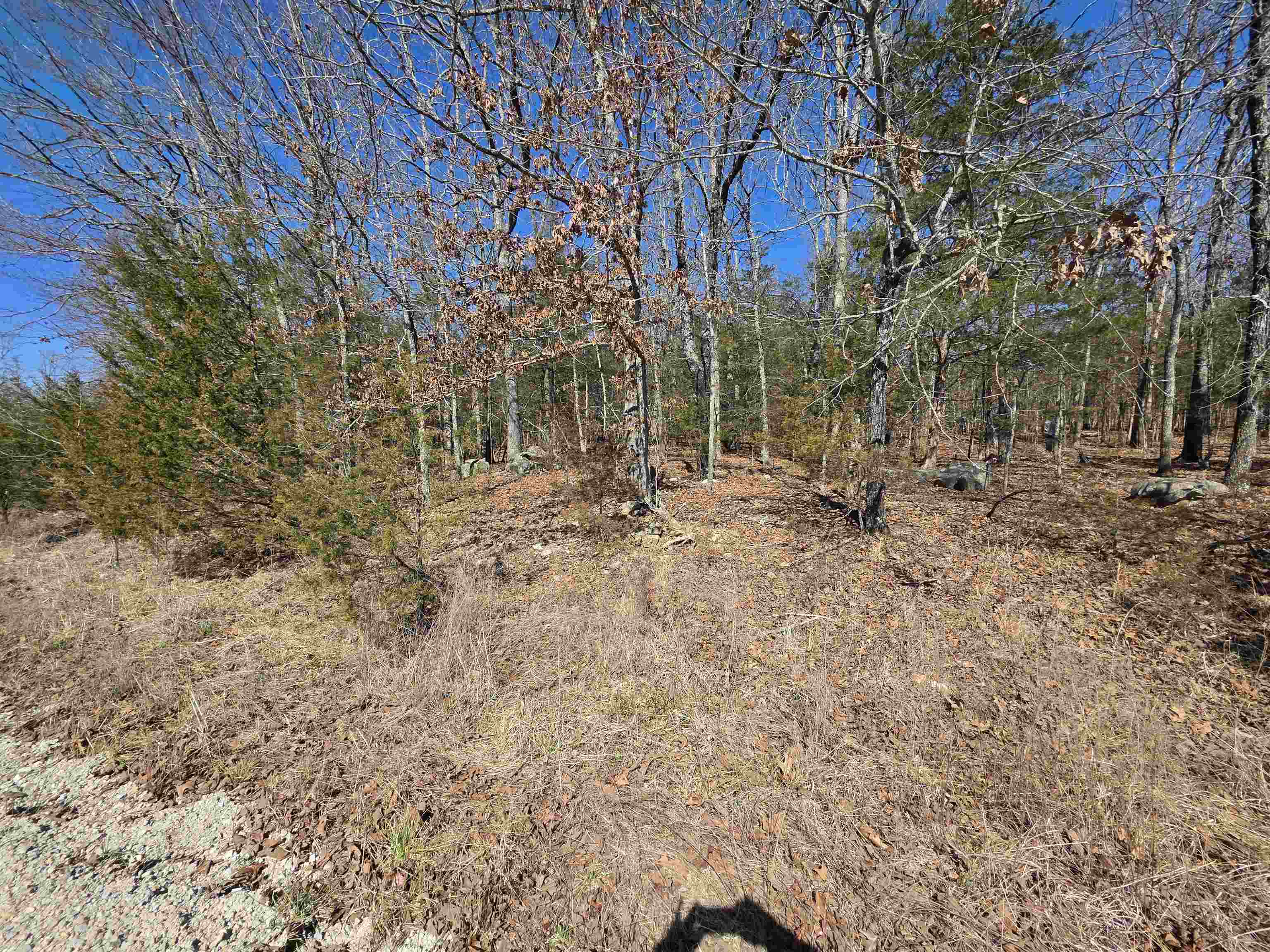 1112 Court Loop  Horseshoe Bend, AR