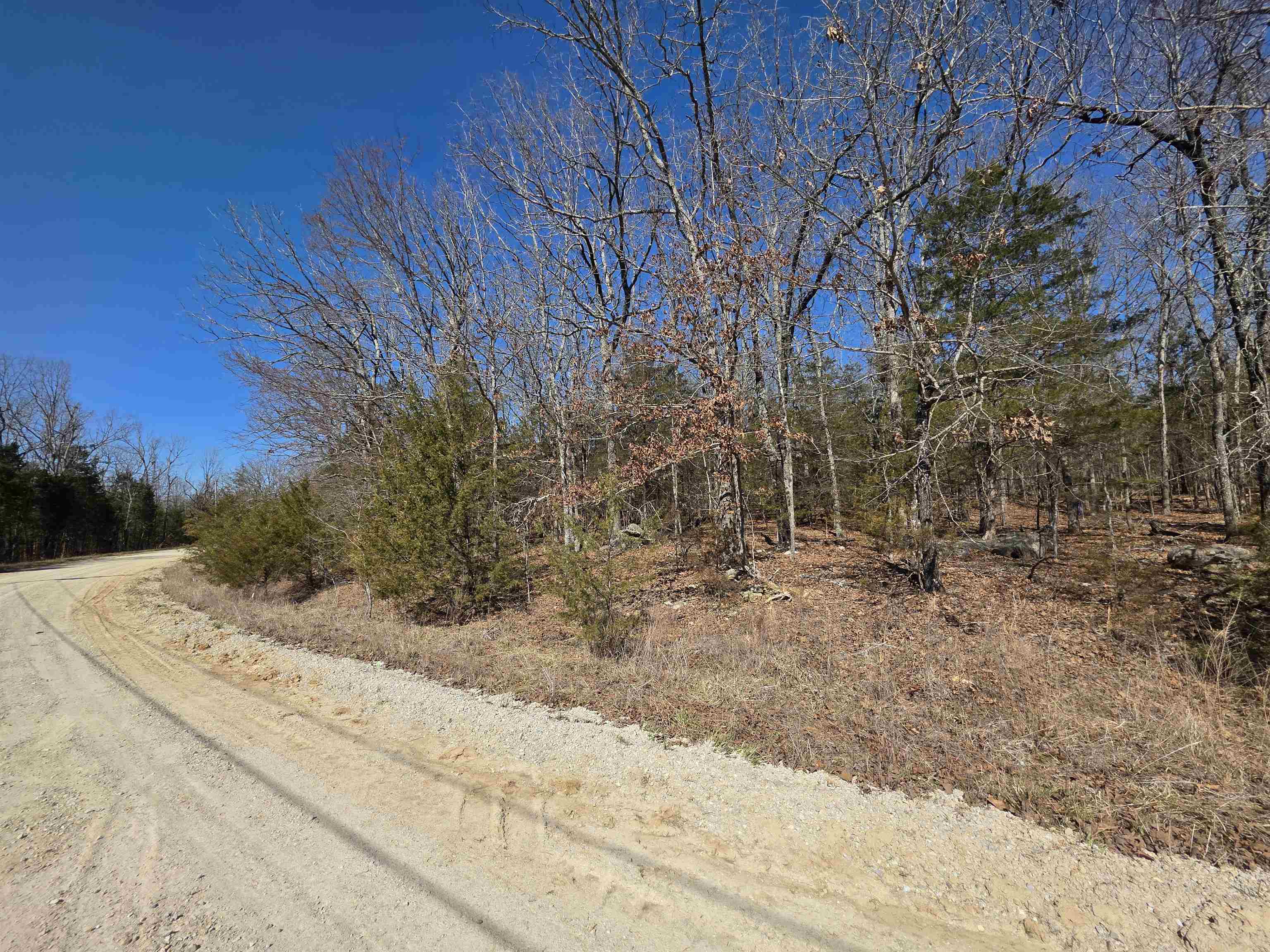 1112 Court Loop  Horseshoe Bend, AR