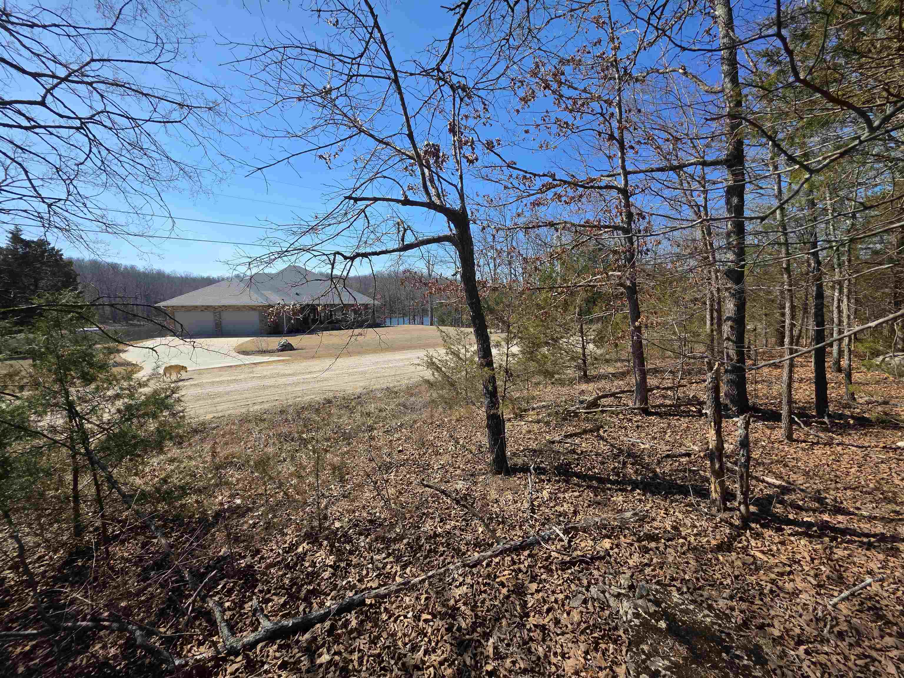 1112 Court Loop  Horseshoe Bend, AR