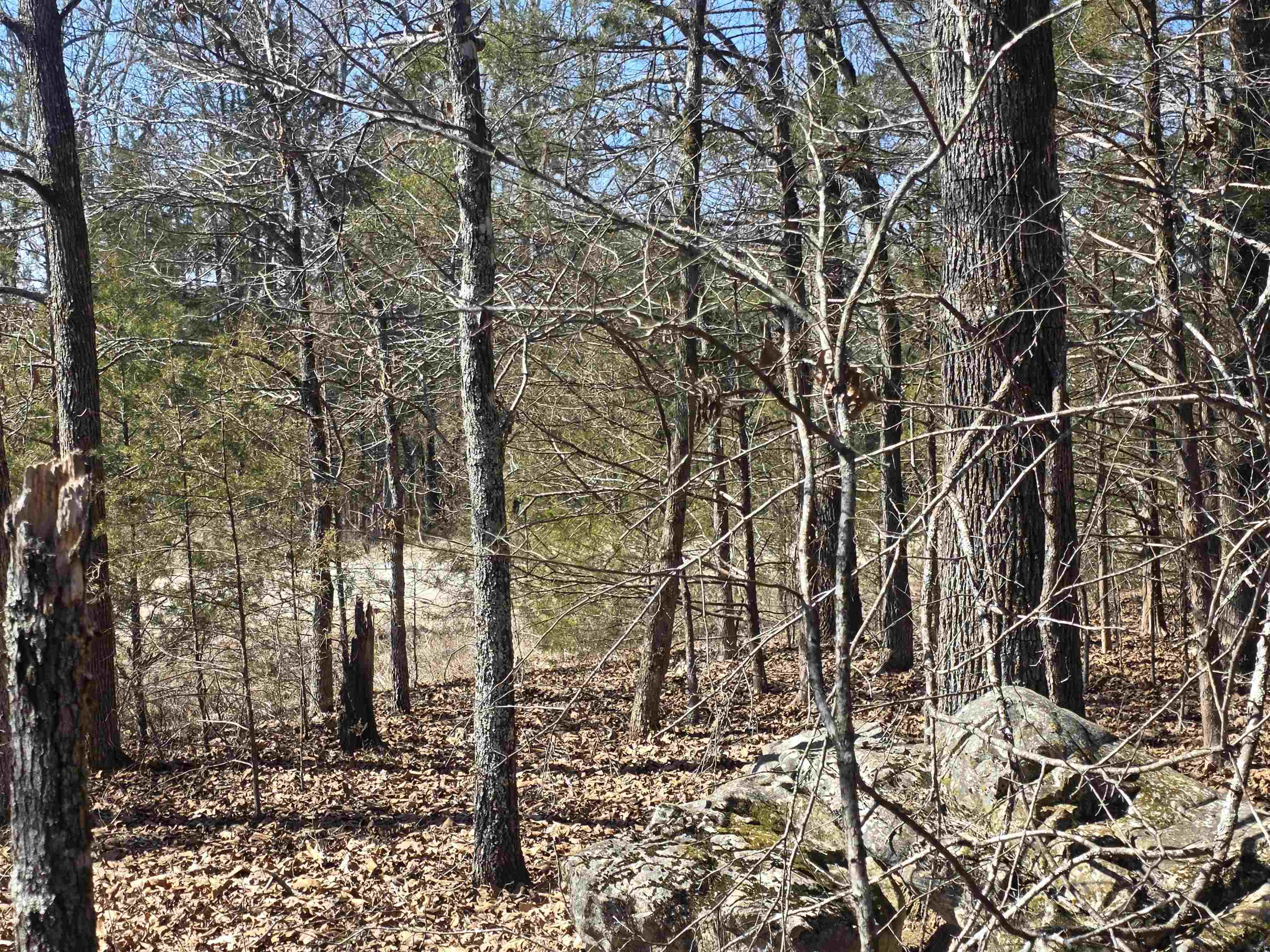 1112 Court Loop  Horseshoe Bend, AR