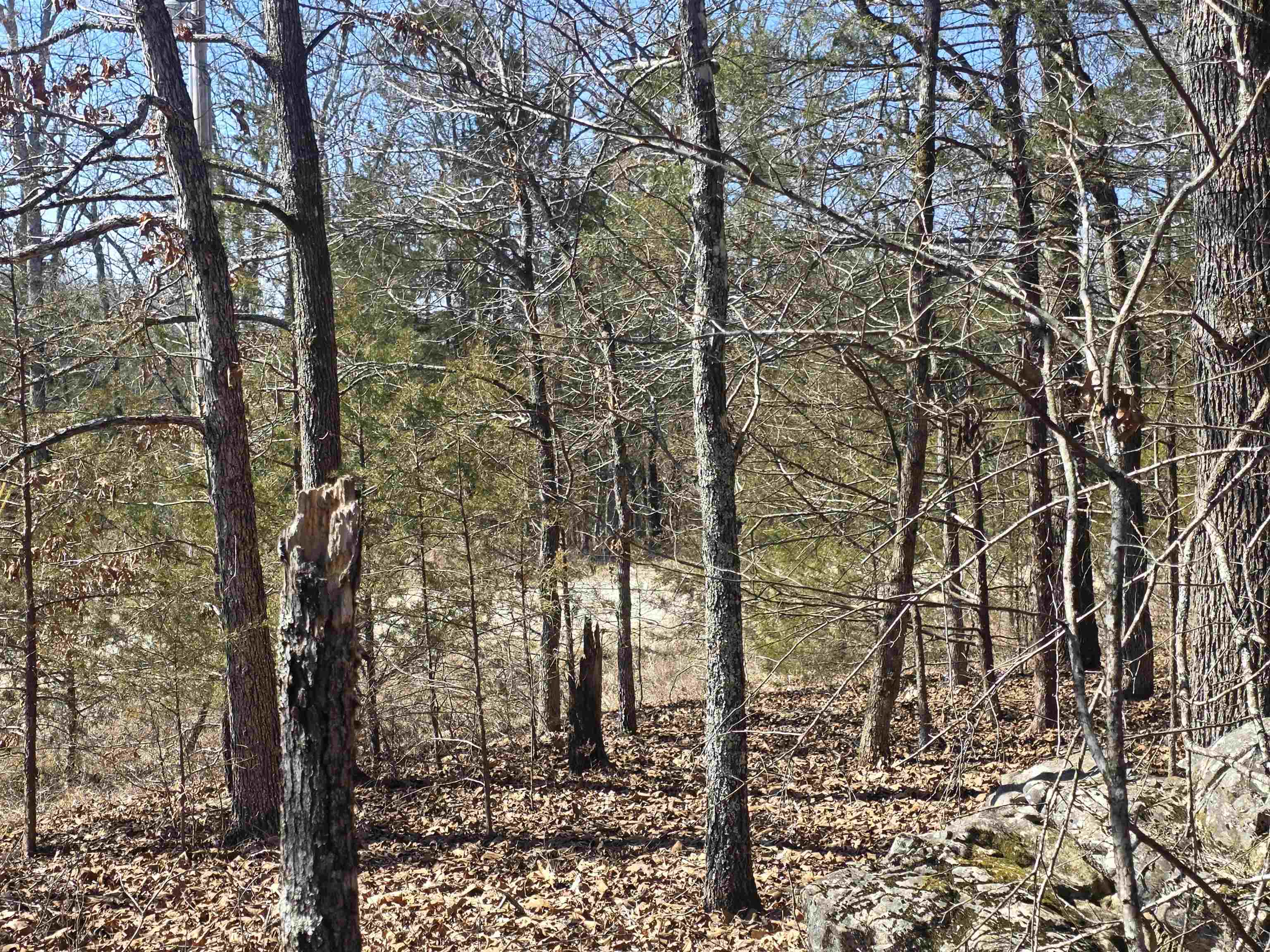 1112 Court Loop  Horseshoe Bend, AR