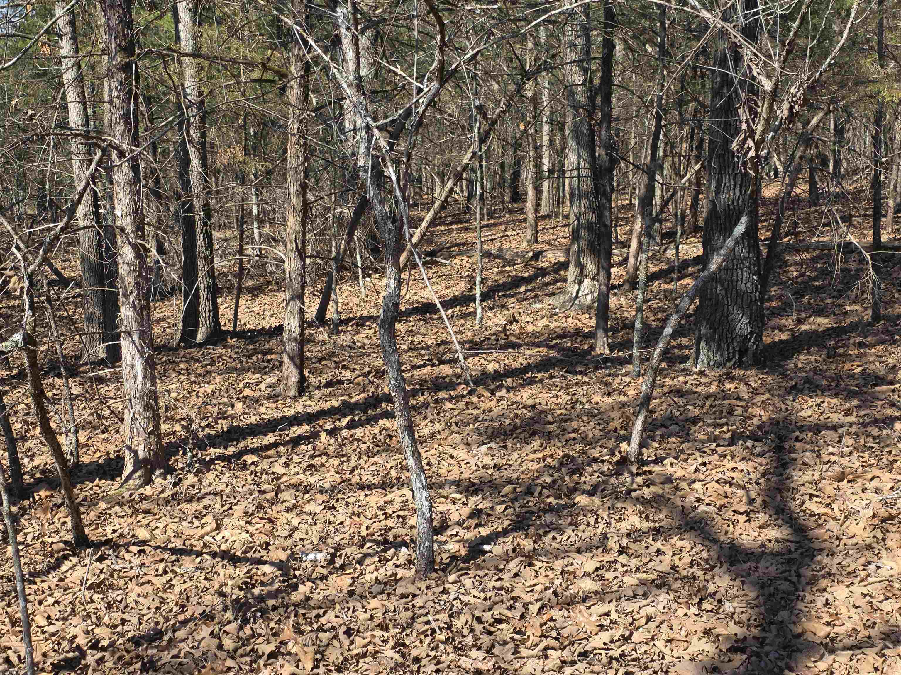 1112 Court Loop  Horseshoe Bend, AR