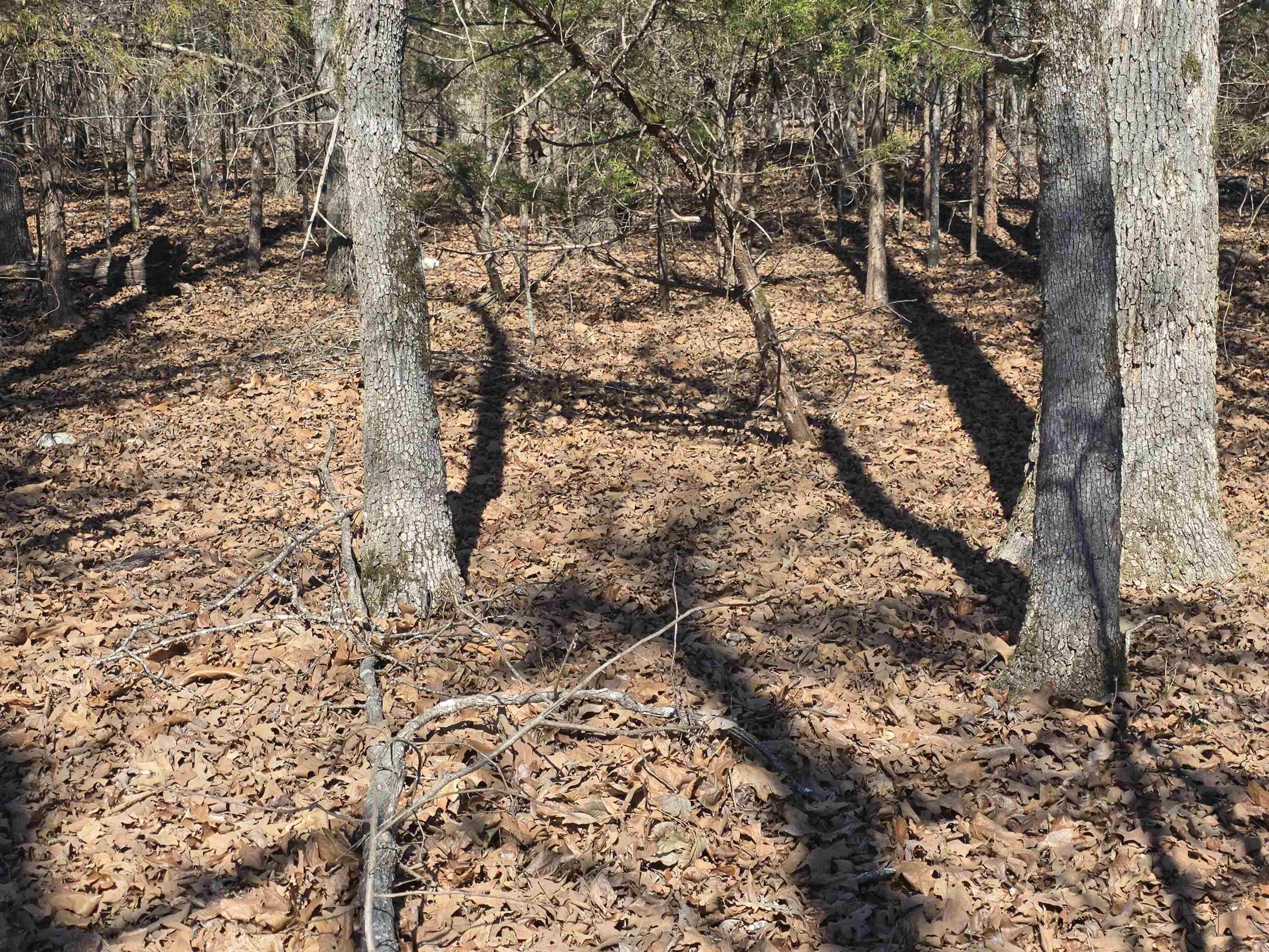 1112 Court Loop  Horseshoe Bend, AR