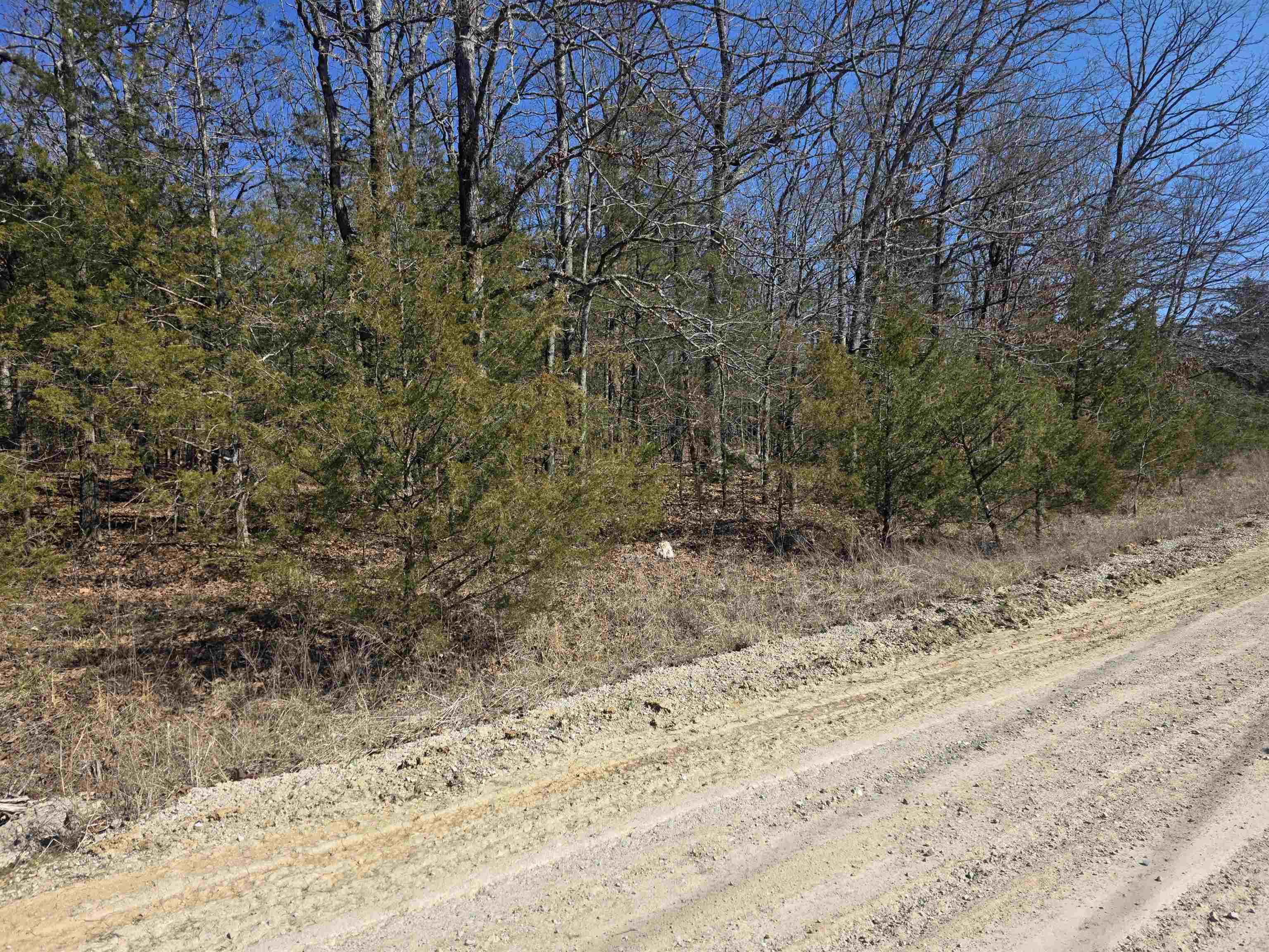 1112 Court Loop  Horseshoe Bend, AR