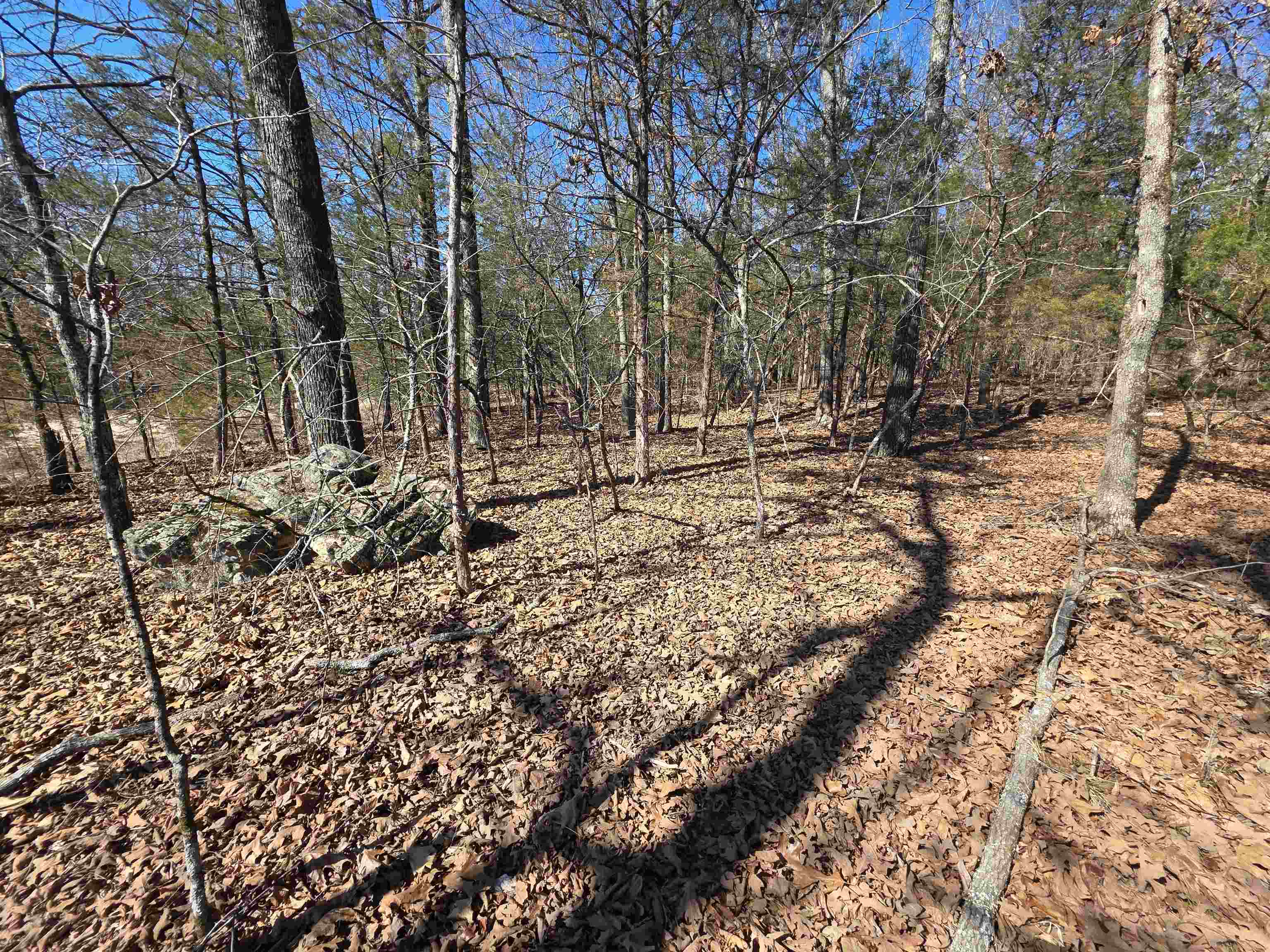 1112 Court Loop  Horseshoe Bend, AR