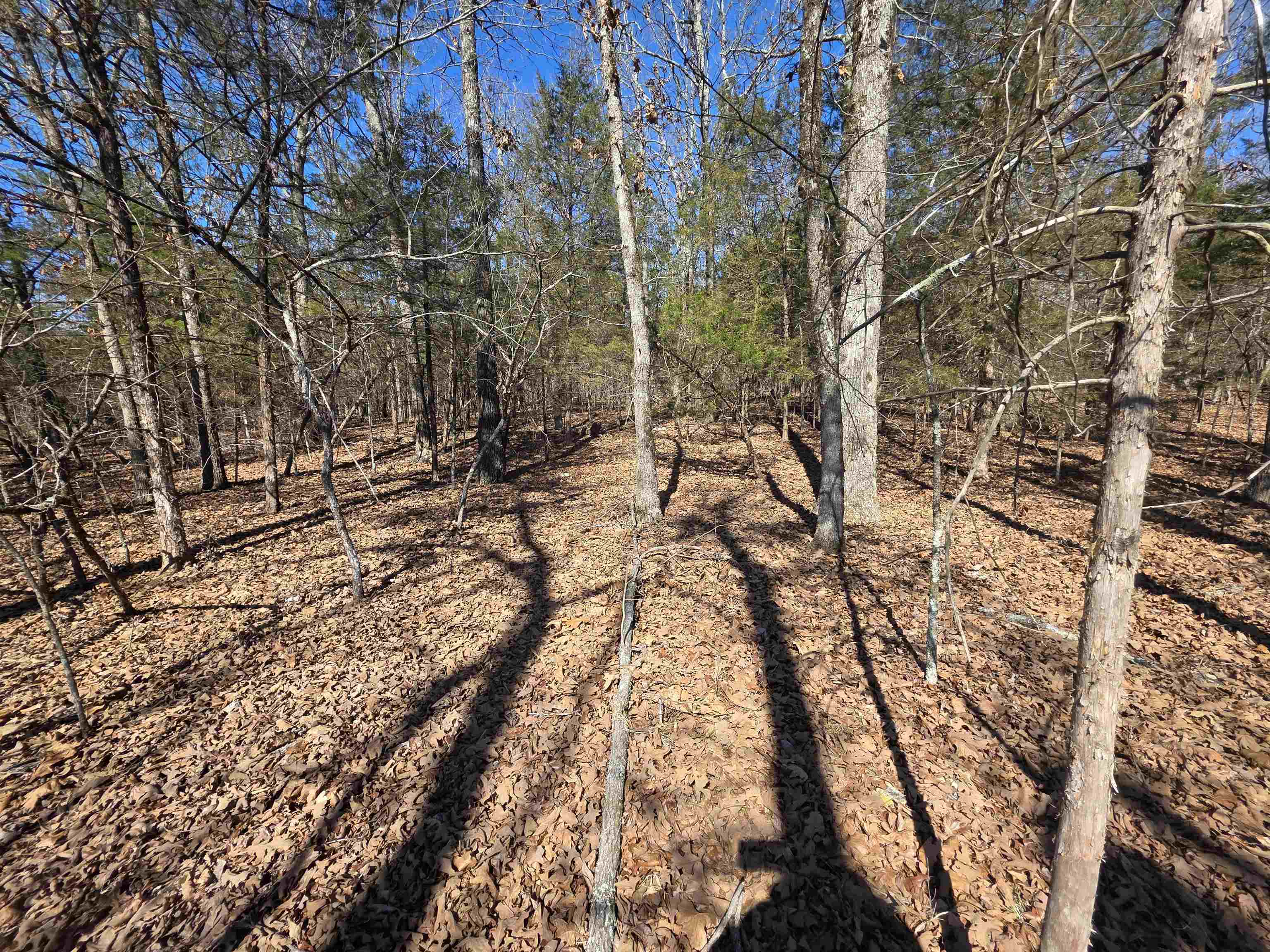 1112 Court Loop  Horseshoe Bend, AR