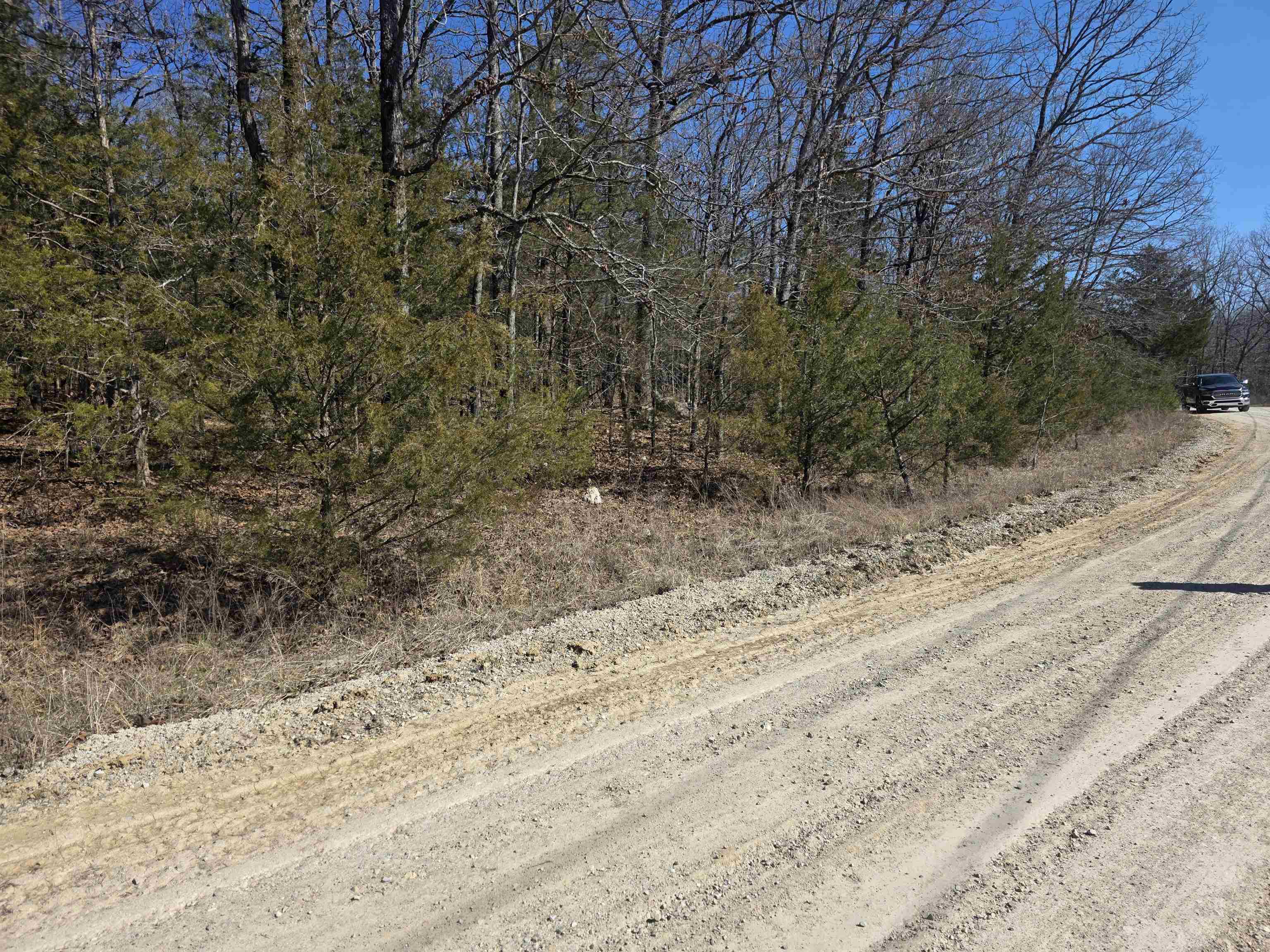 1112 Court Loop  Horseshoe Bend, AR