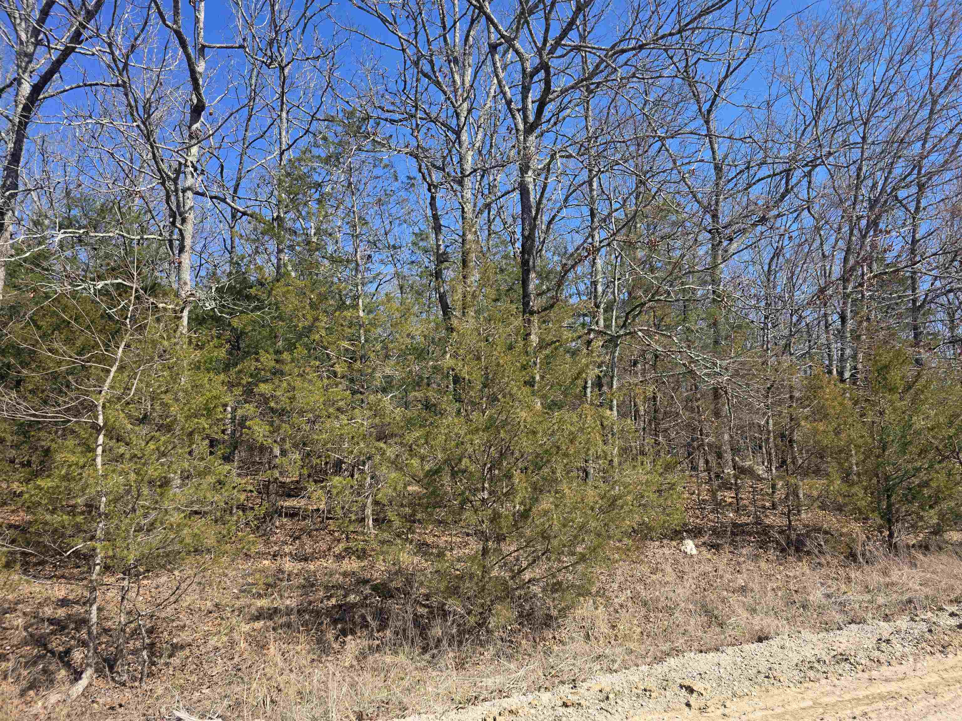 1112 Court Loop  Horseshoe Bend, AR