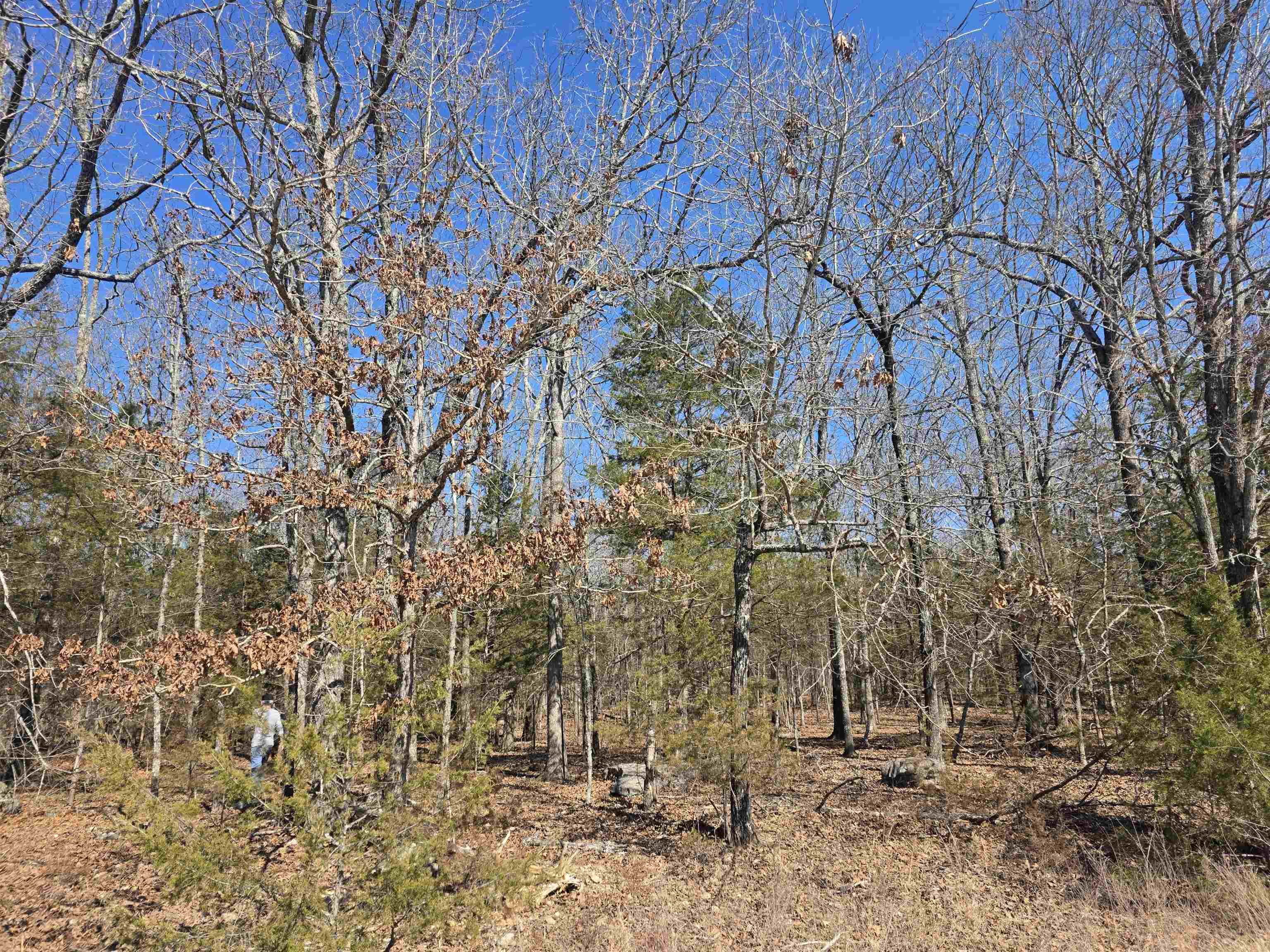 1112 Court Loop  Horseshoe Bend, AR